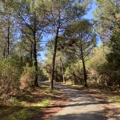 Entre Dune et Golf_Moliets_Landes Atlantique Sud