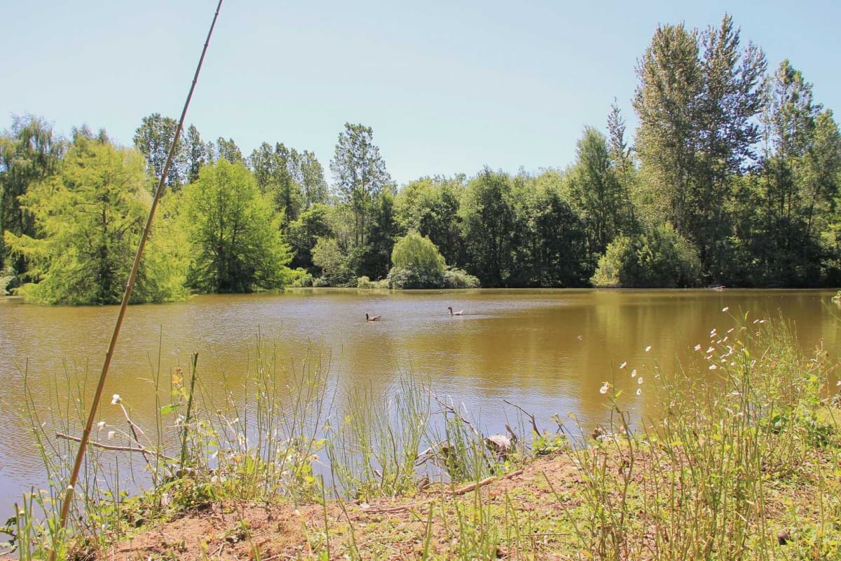 AU VIEUX CHÊNE AU CALME, AVEC ÉTANG DE PÊCHE