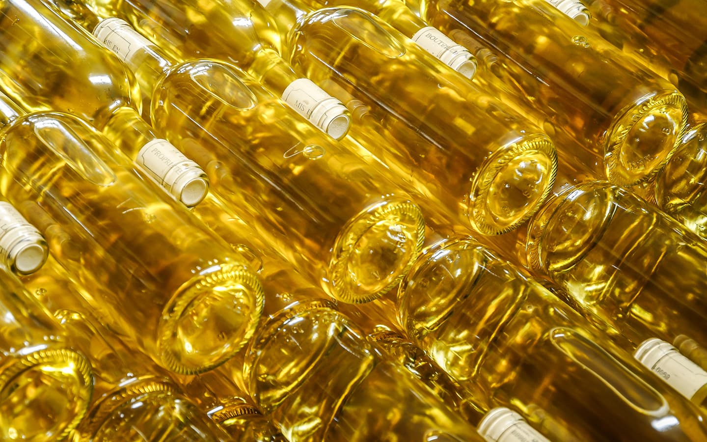 Domaine du Cinquau - Artiguelouve - les bouteilles 2