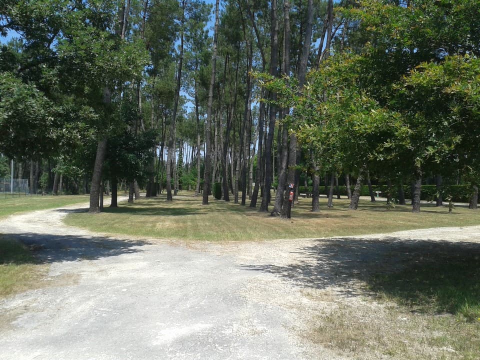 aire de camping cars de Nauton
