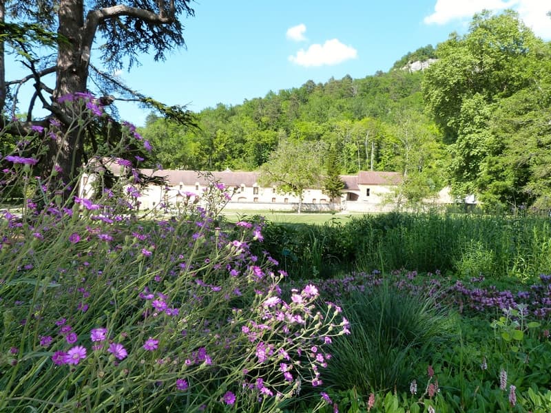 campagne 5