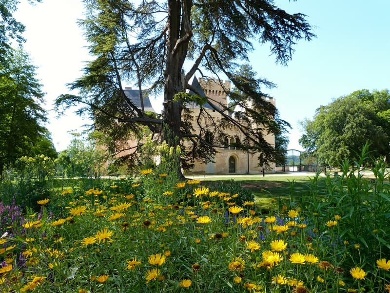 campagne 6
