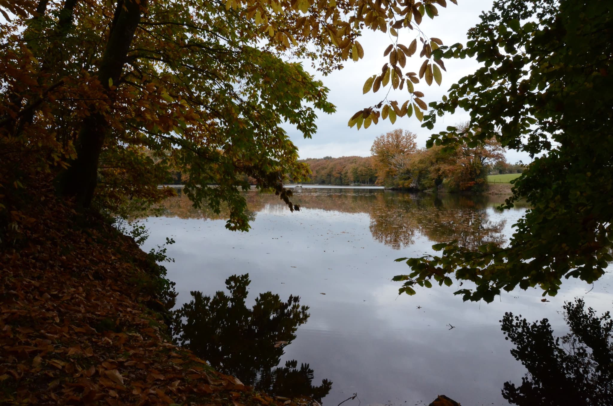 Bois Pouvreau
