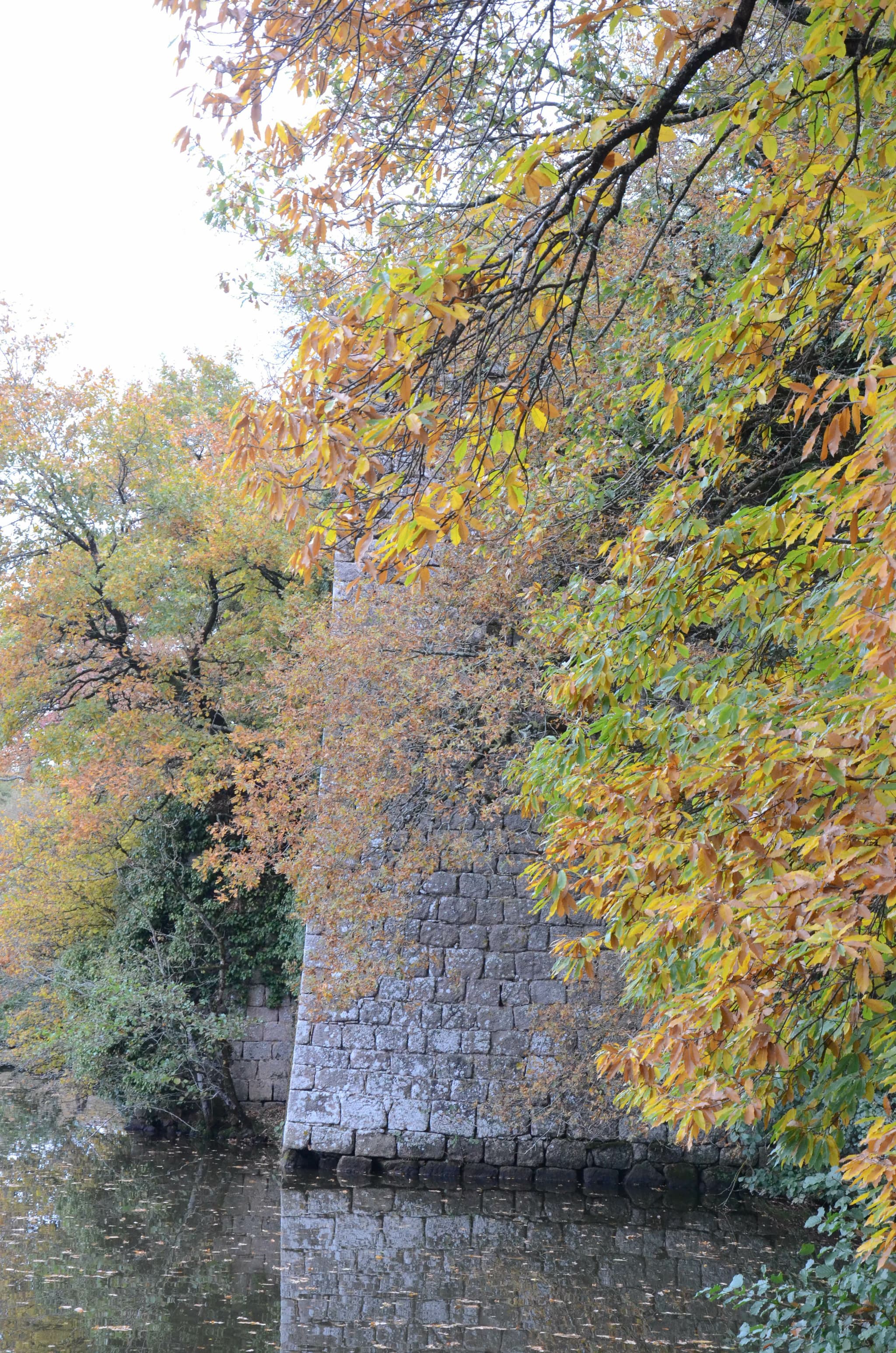 2015-10-27-DSC-4757