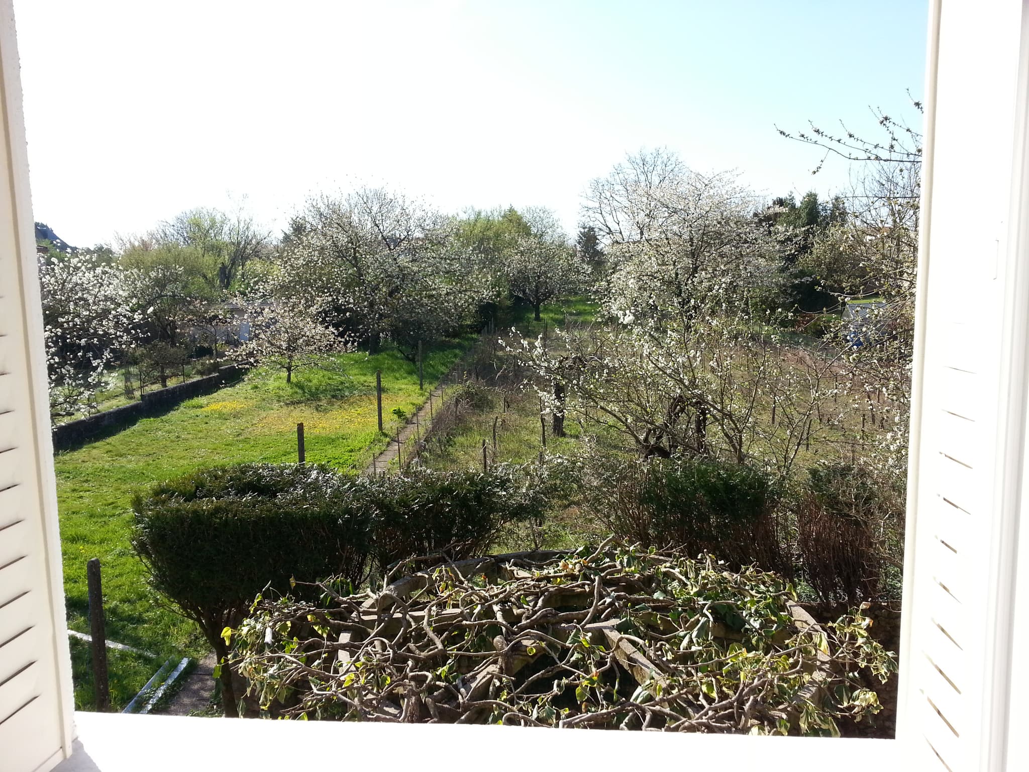 Vue imprenable sur 3ha de jardins, attention aux oiseaux, papillons, écureuils..