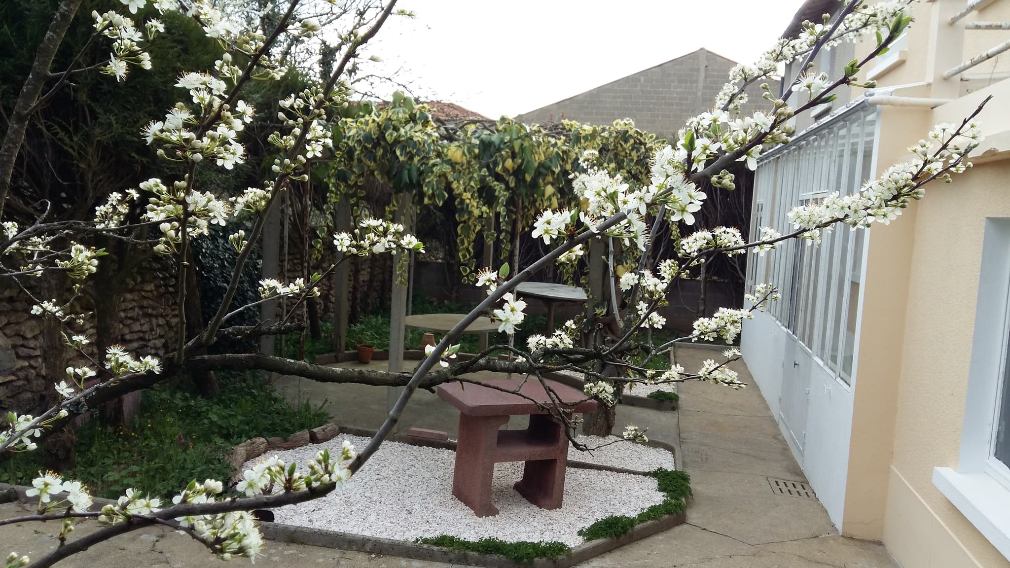 Vue du jardin arrière au printemps