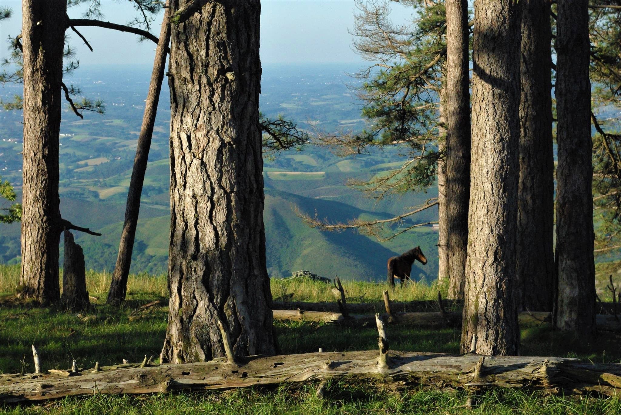 Découverte nature