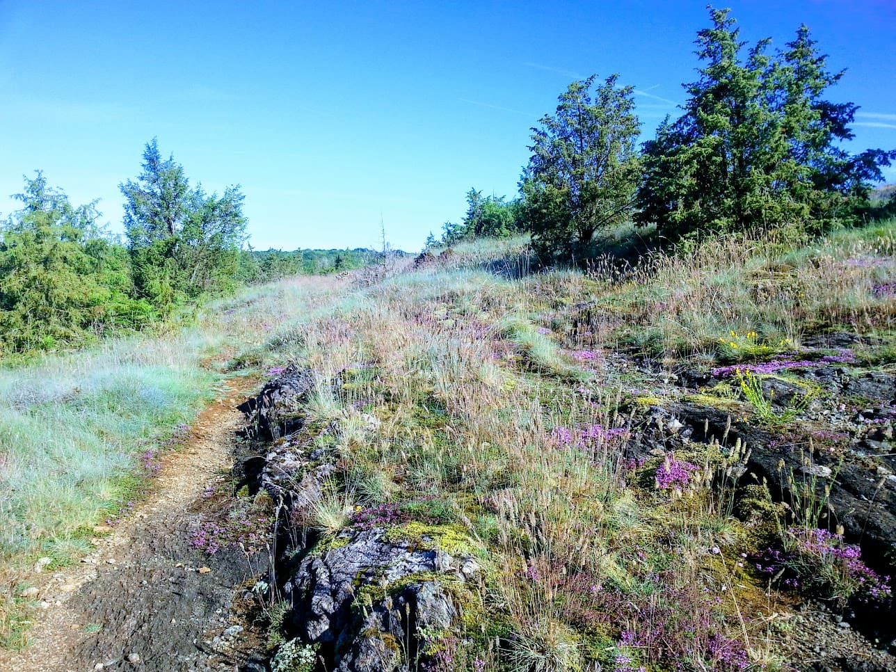 lande cluzeau flotte