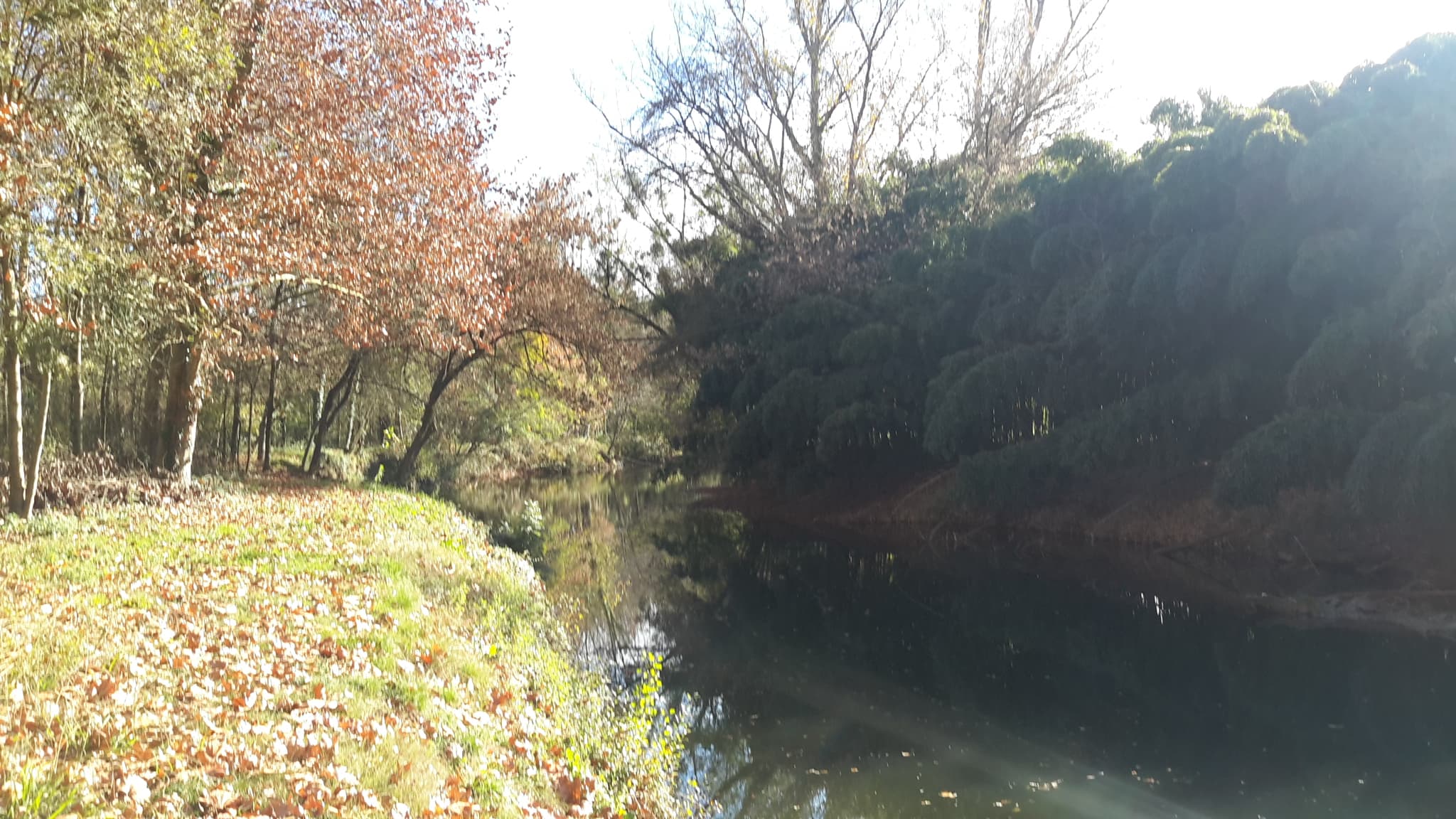 Balade le long du Luy