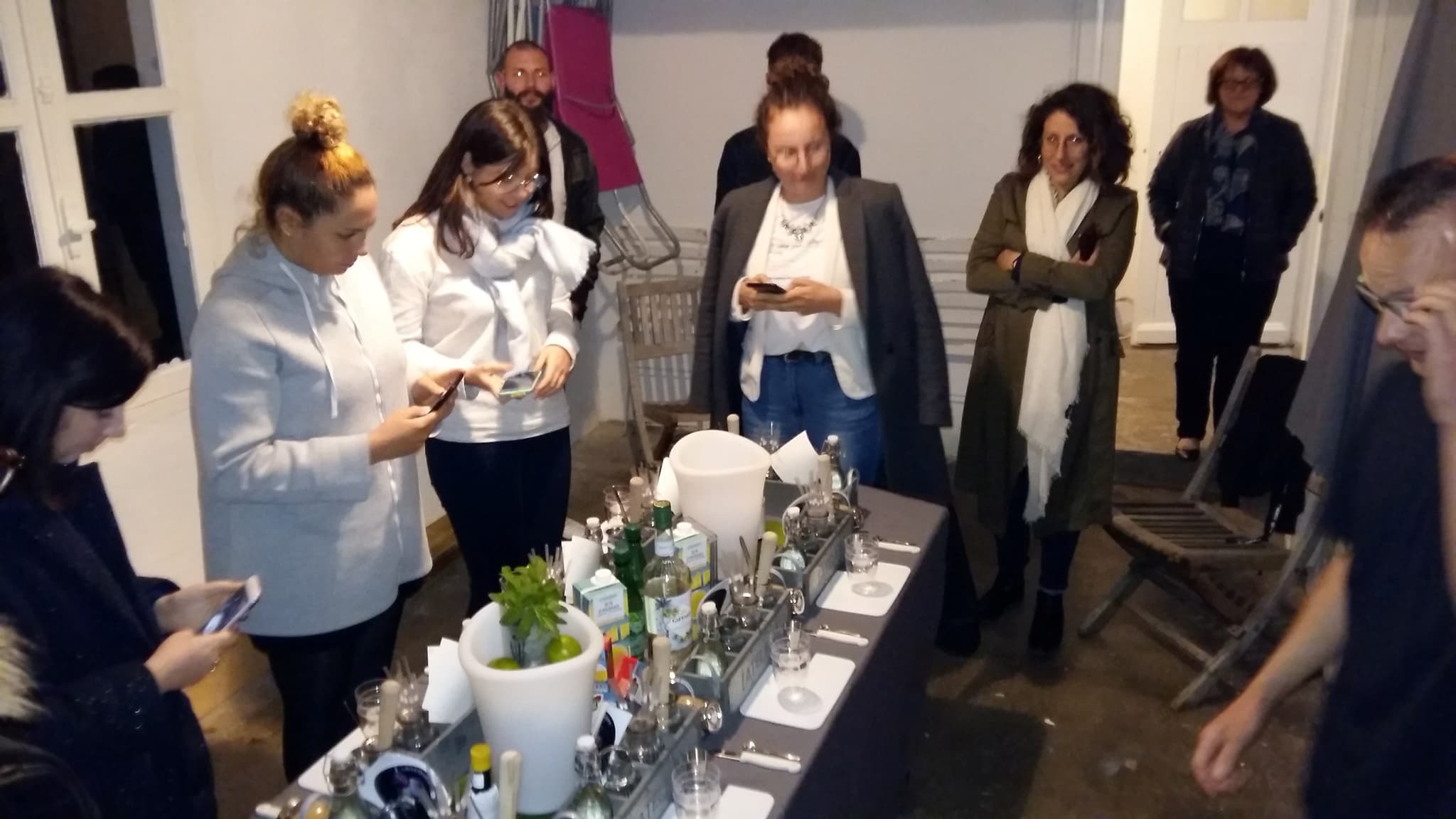 Animation dans le garage du Gîte : soirée création de cocktails naturels