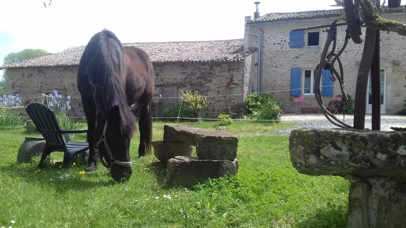 Gîte de l'Eraudière