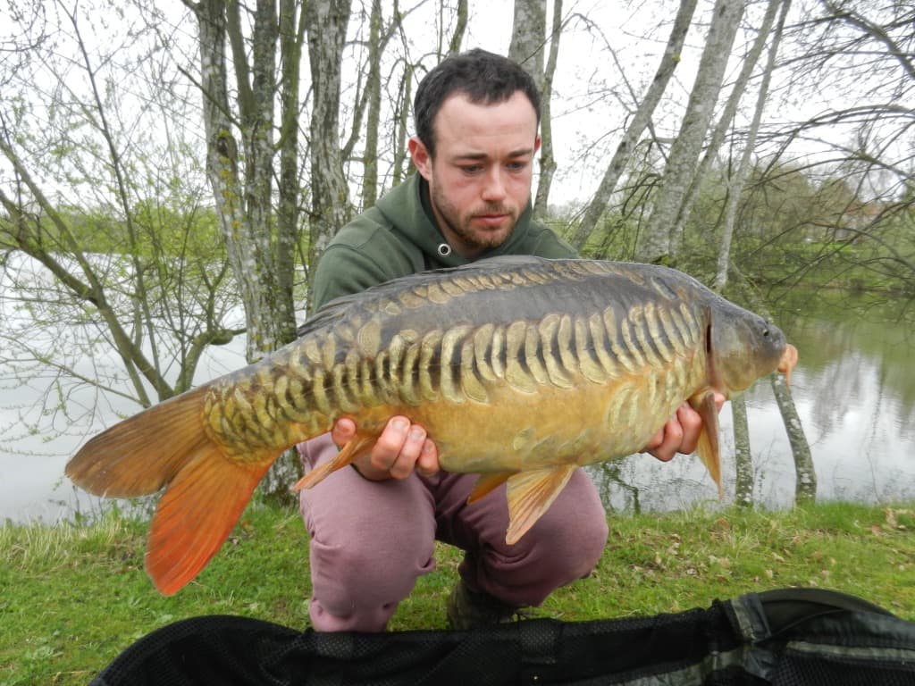 les habitants de nos étangs