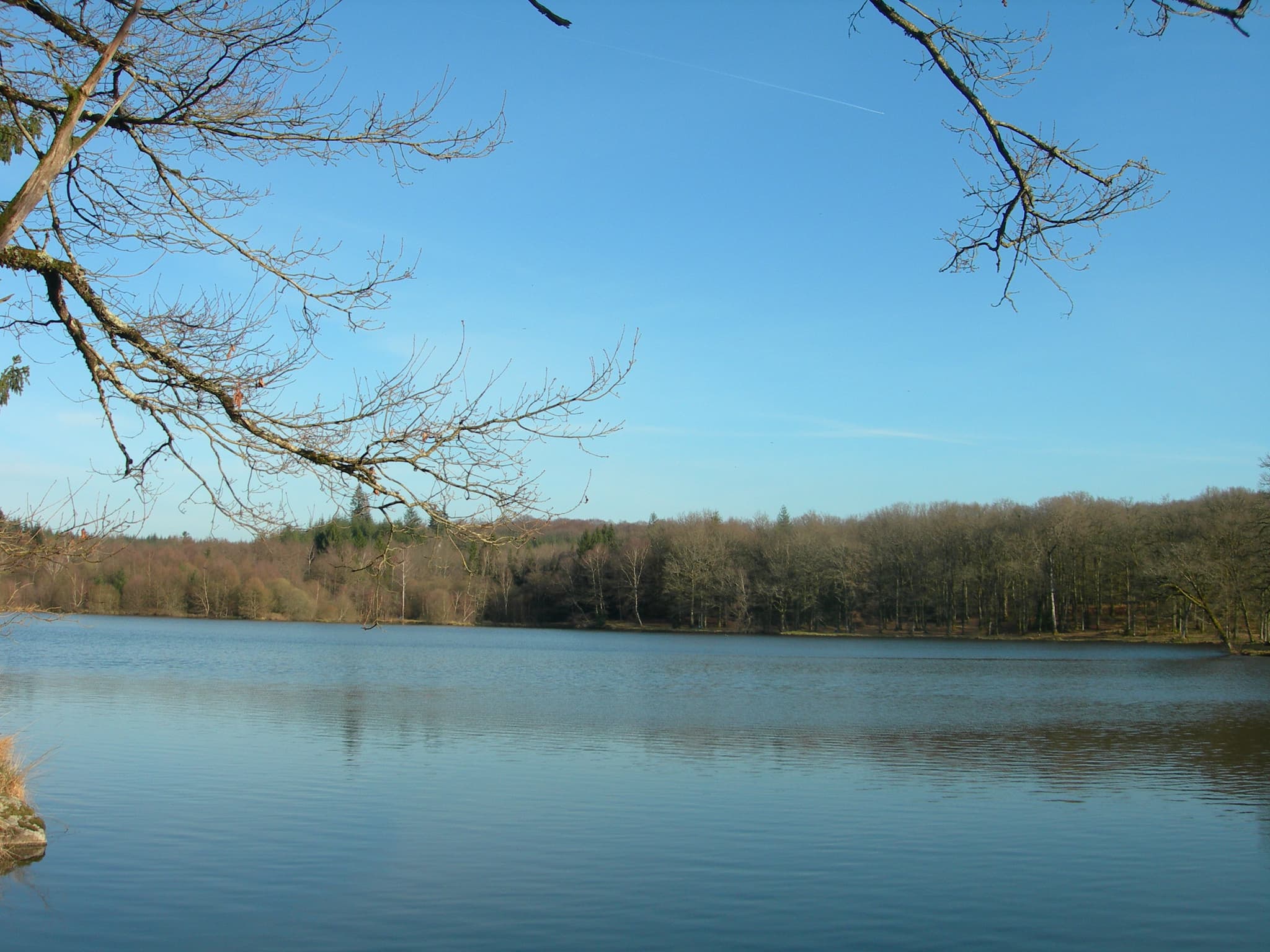 Etang de pêche 'Piquette' La Porcherie_1