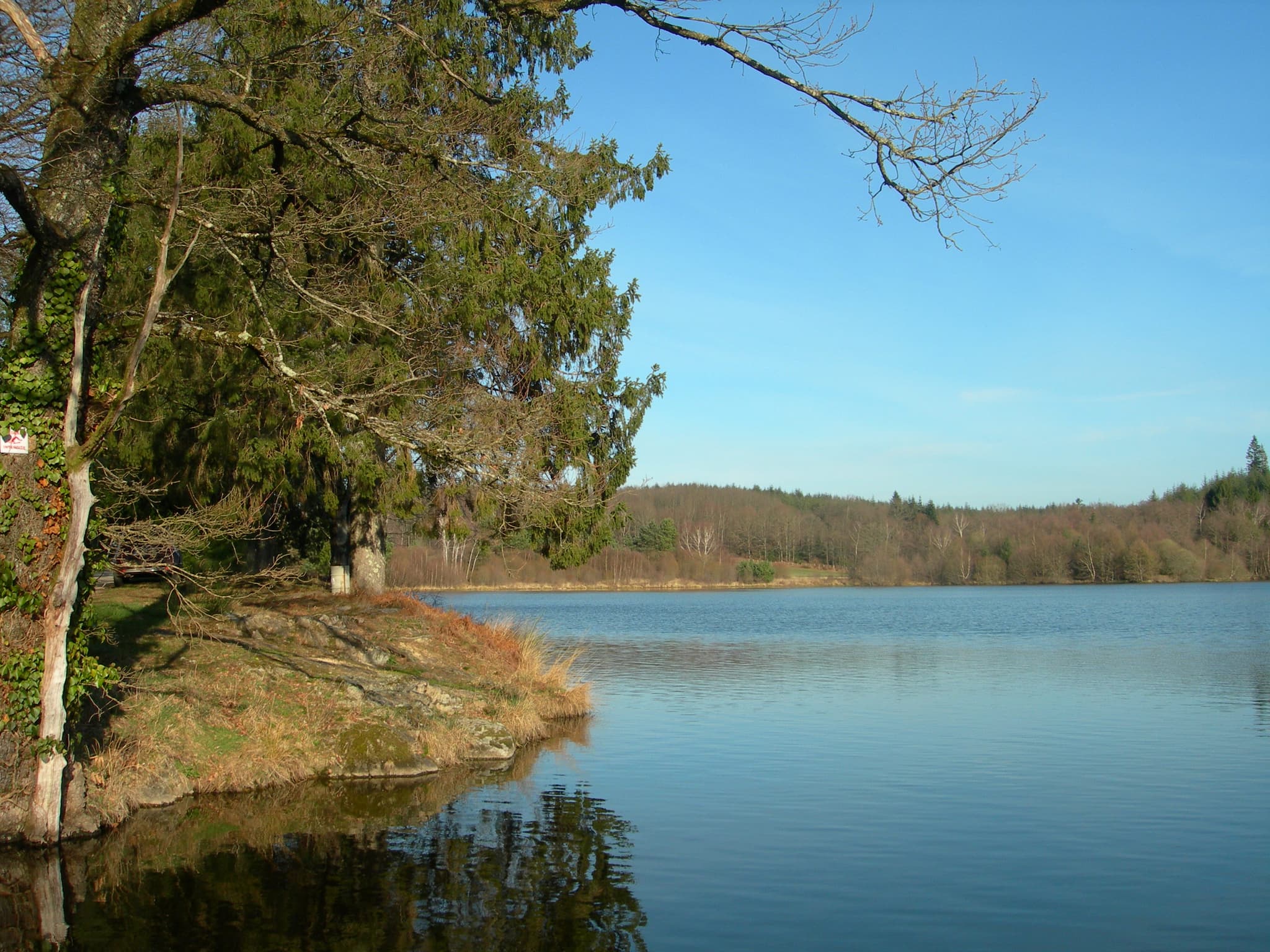 Etang de pêche 'Piquette' La Porcherie_2