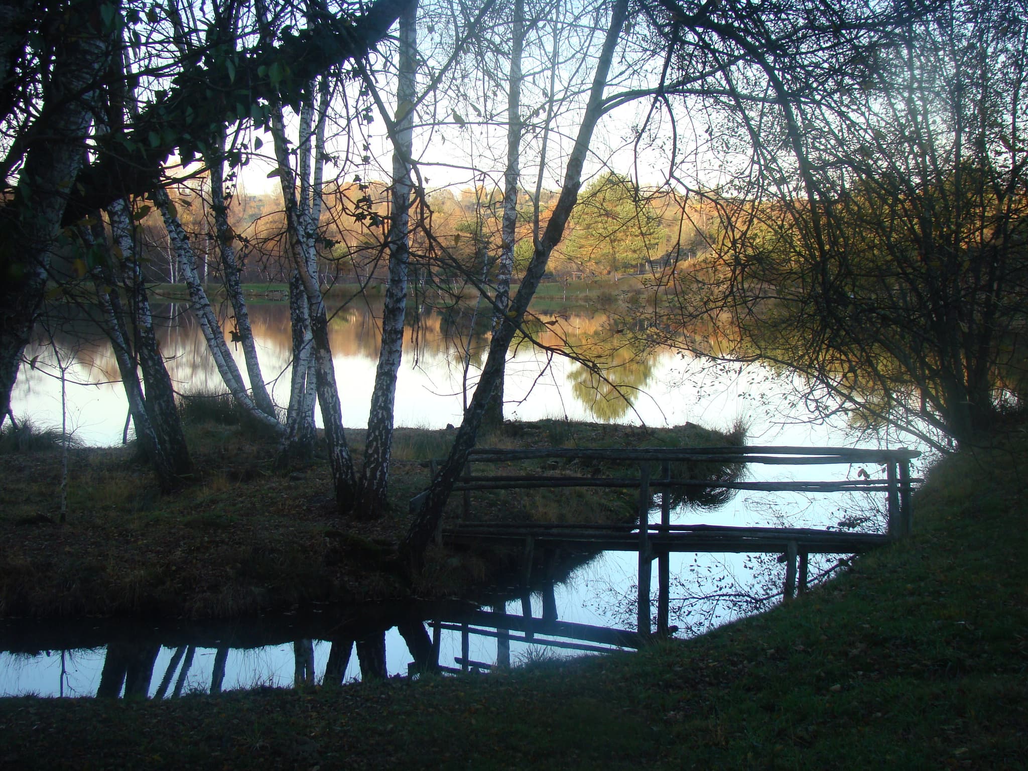 Etang de pêche 'Les Pierres du Mas'  La Porcherie_3