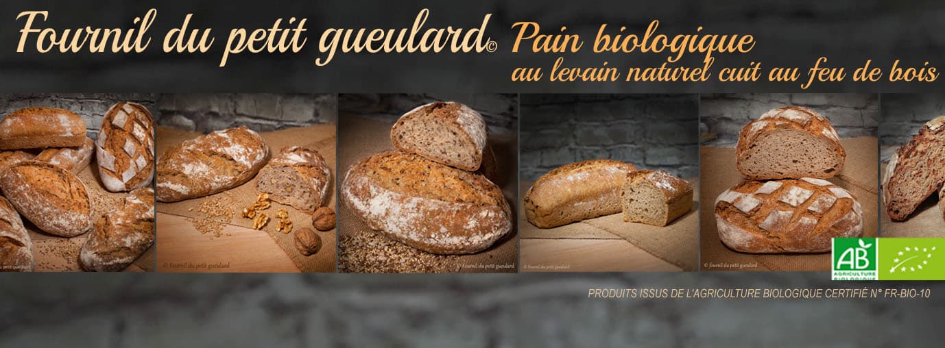 Fournil du petit gueulard à Château-Chervix_1