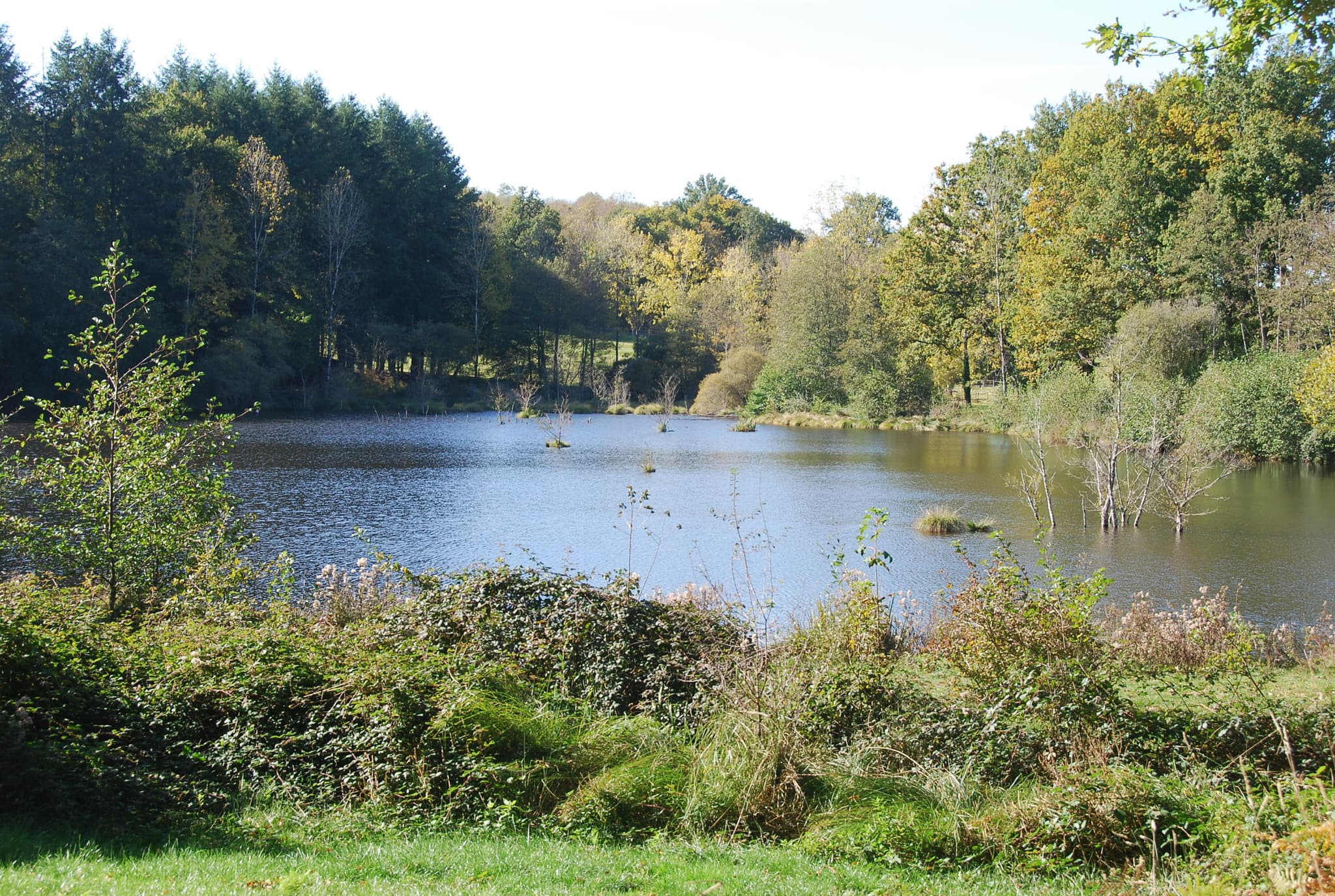 Meublé de tourisme "Bel' Ecaille"_2