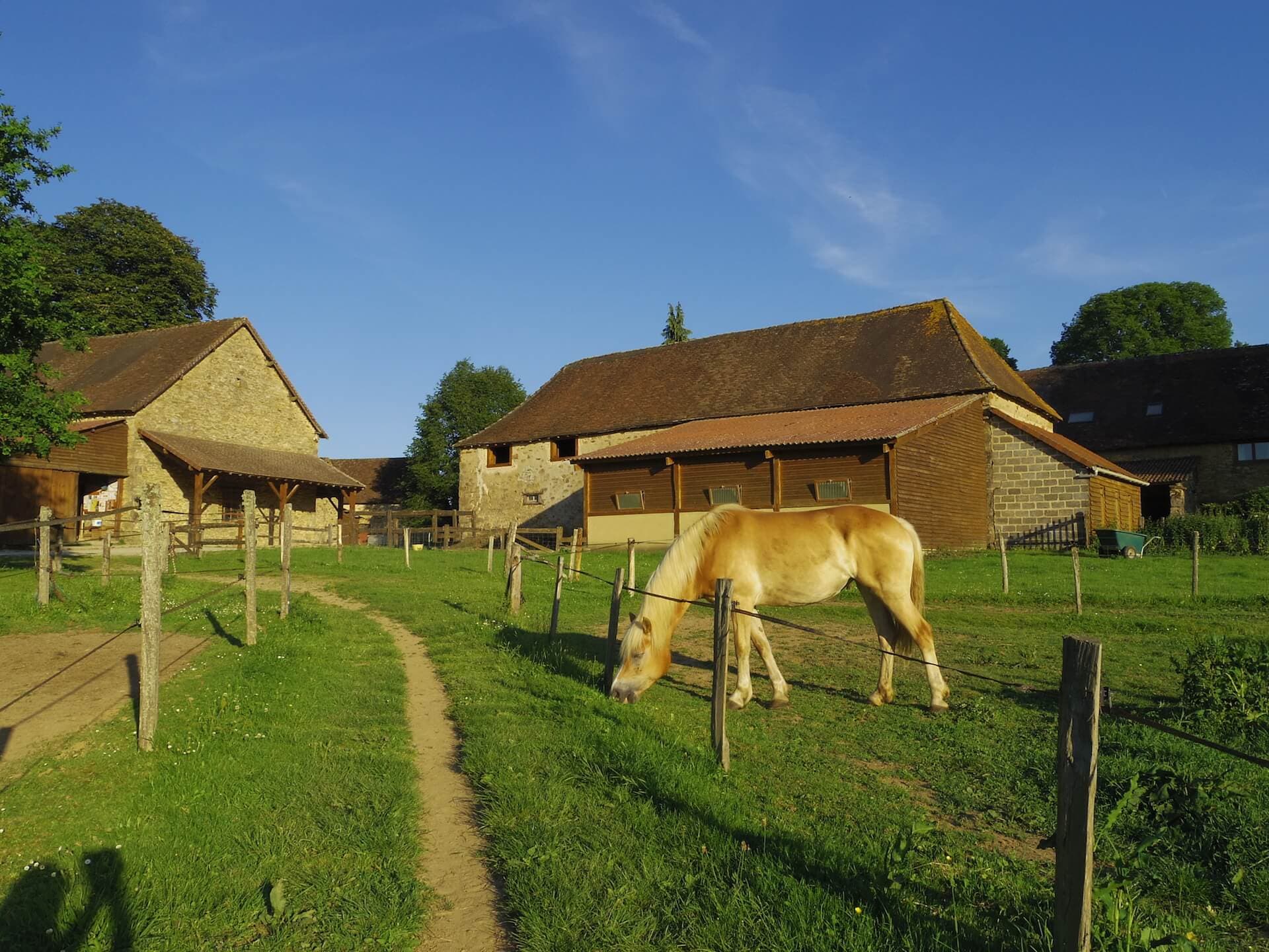 Poney club Equi-libre_1