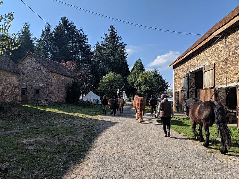 Centre équestre "Les Chevaux de Tilcara" à Château-Chervix_5