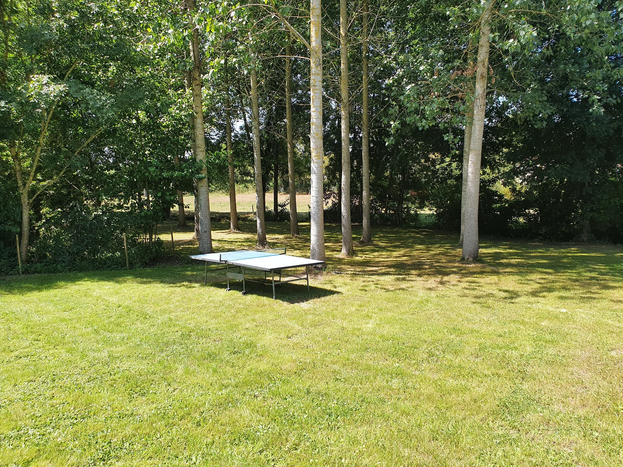Parc arboré avec table de ping-pong