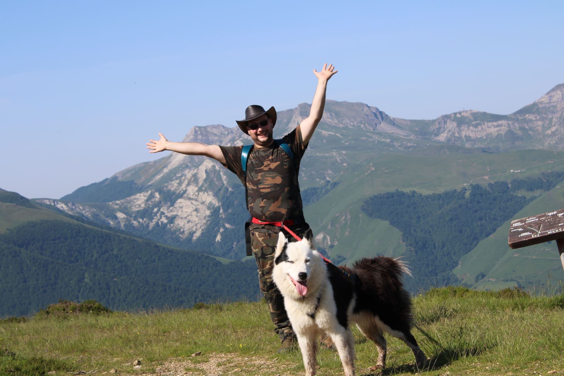Cani rando formule solo en Pyrénées béarnaises