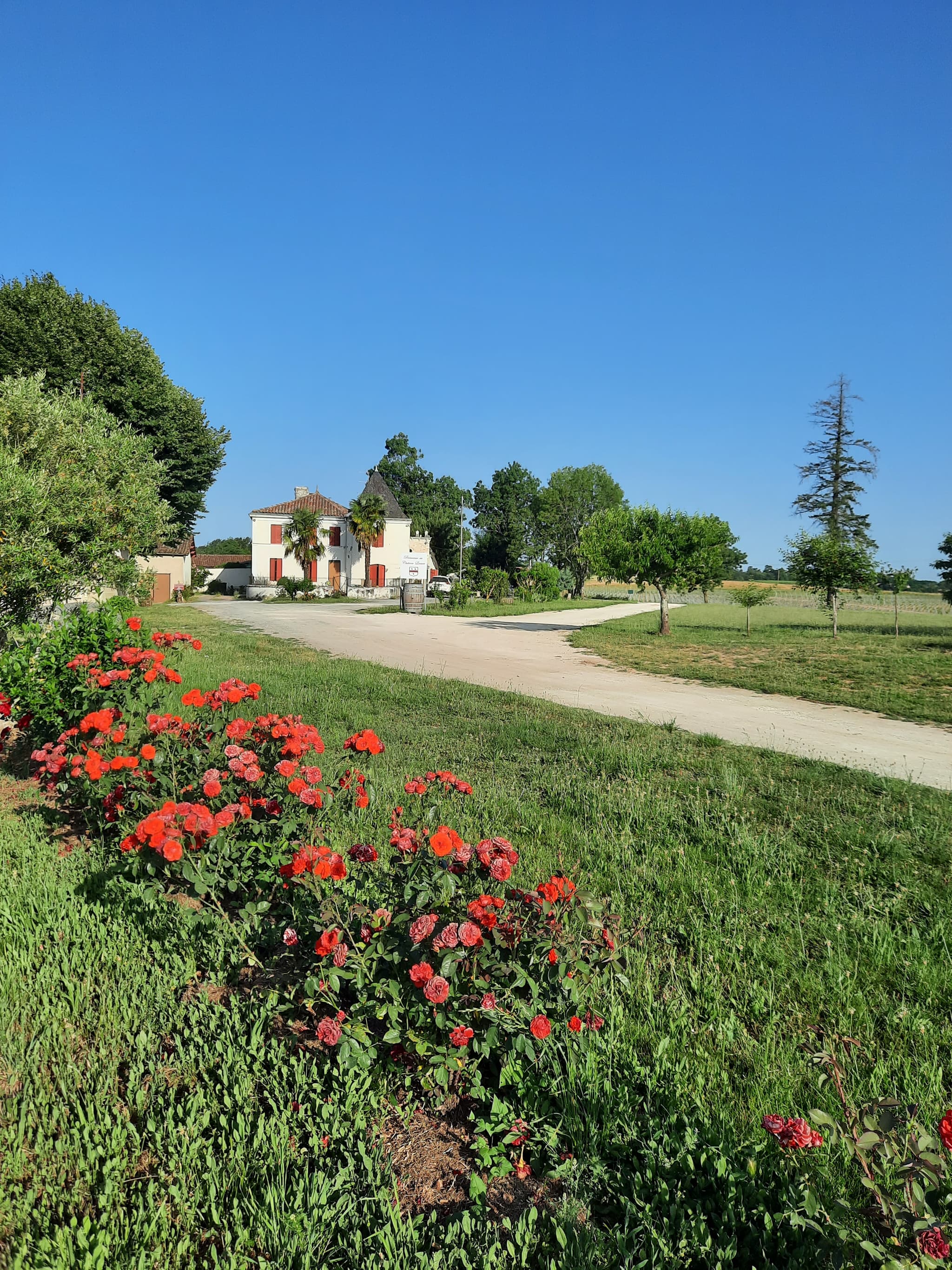 Château Lussan