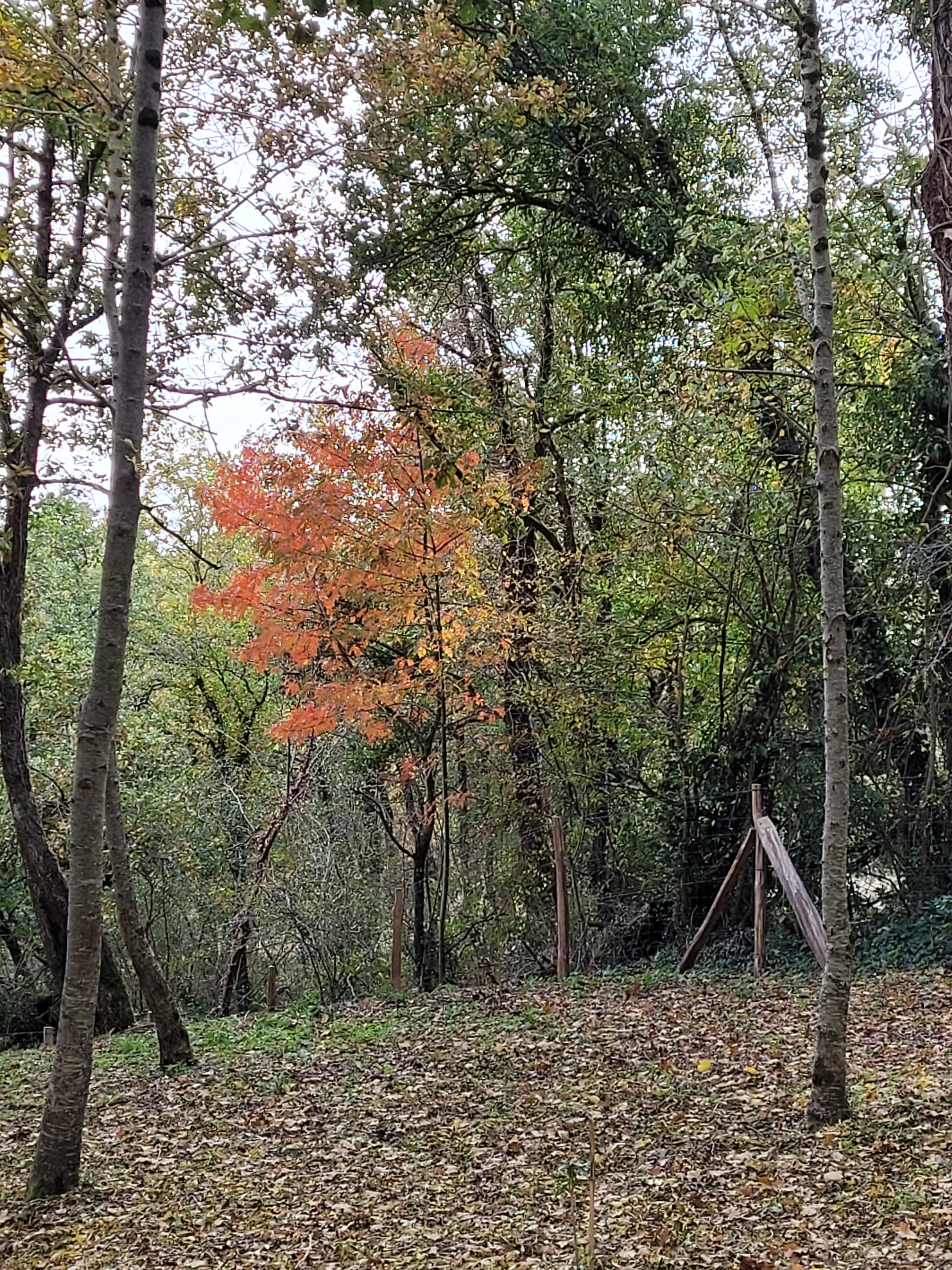 20211101_153944