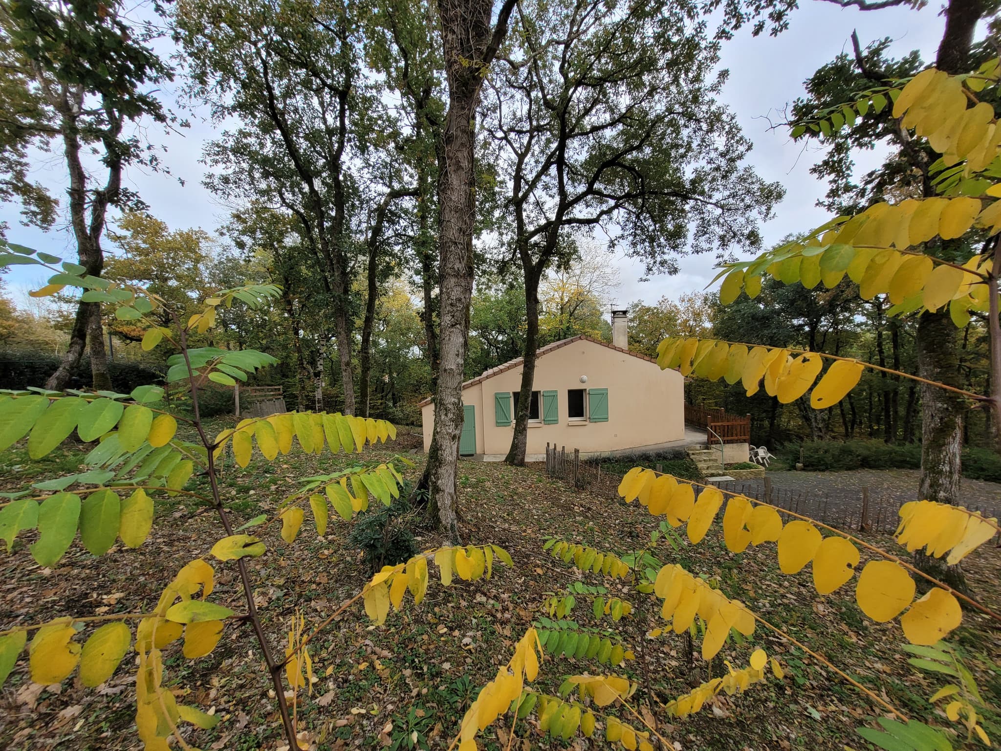 Vue du jardin