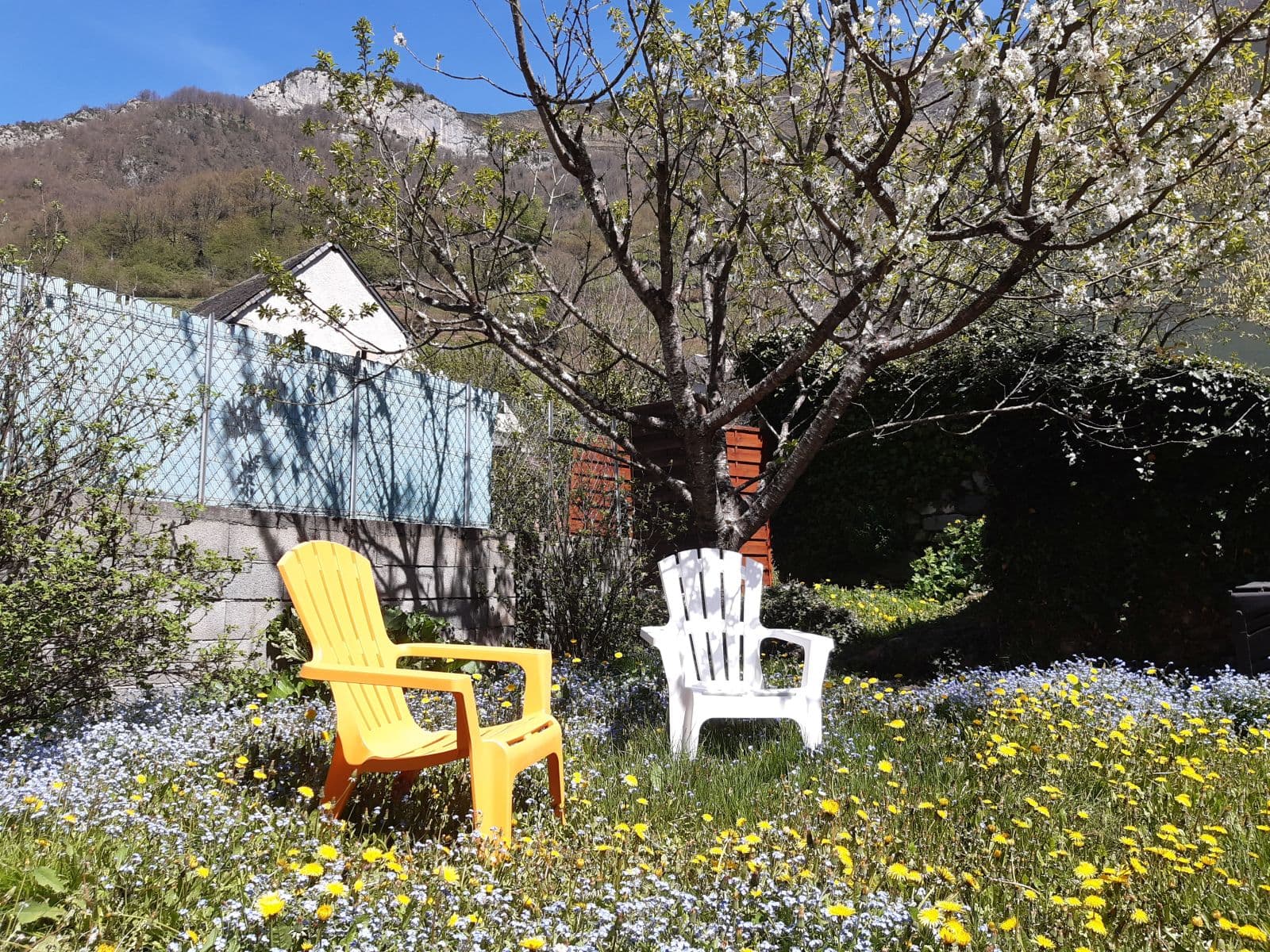 Jardin