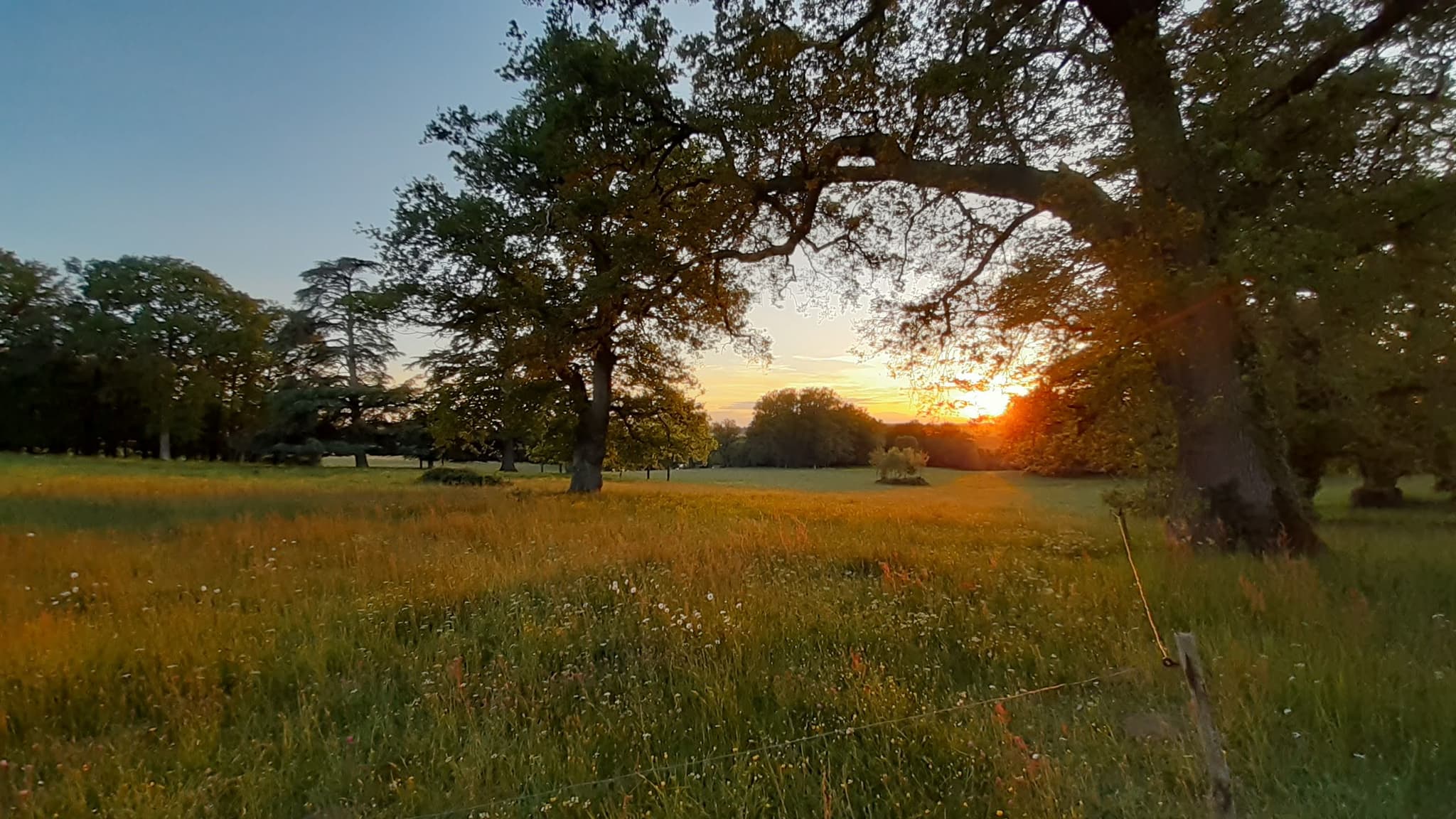 Vue sur le parc