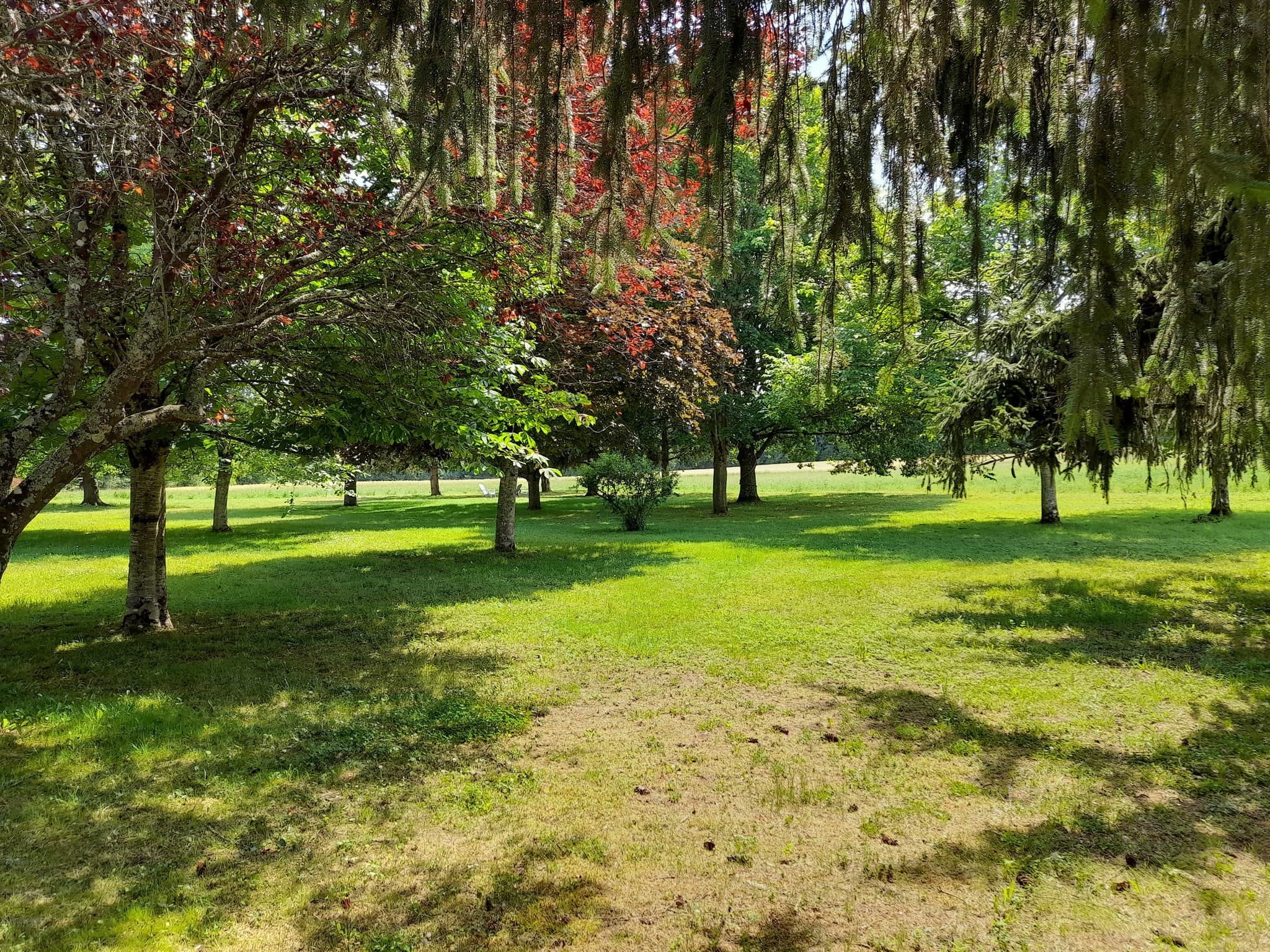 TERRAIN ARBORE DE 3 800 M2