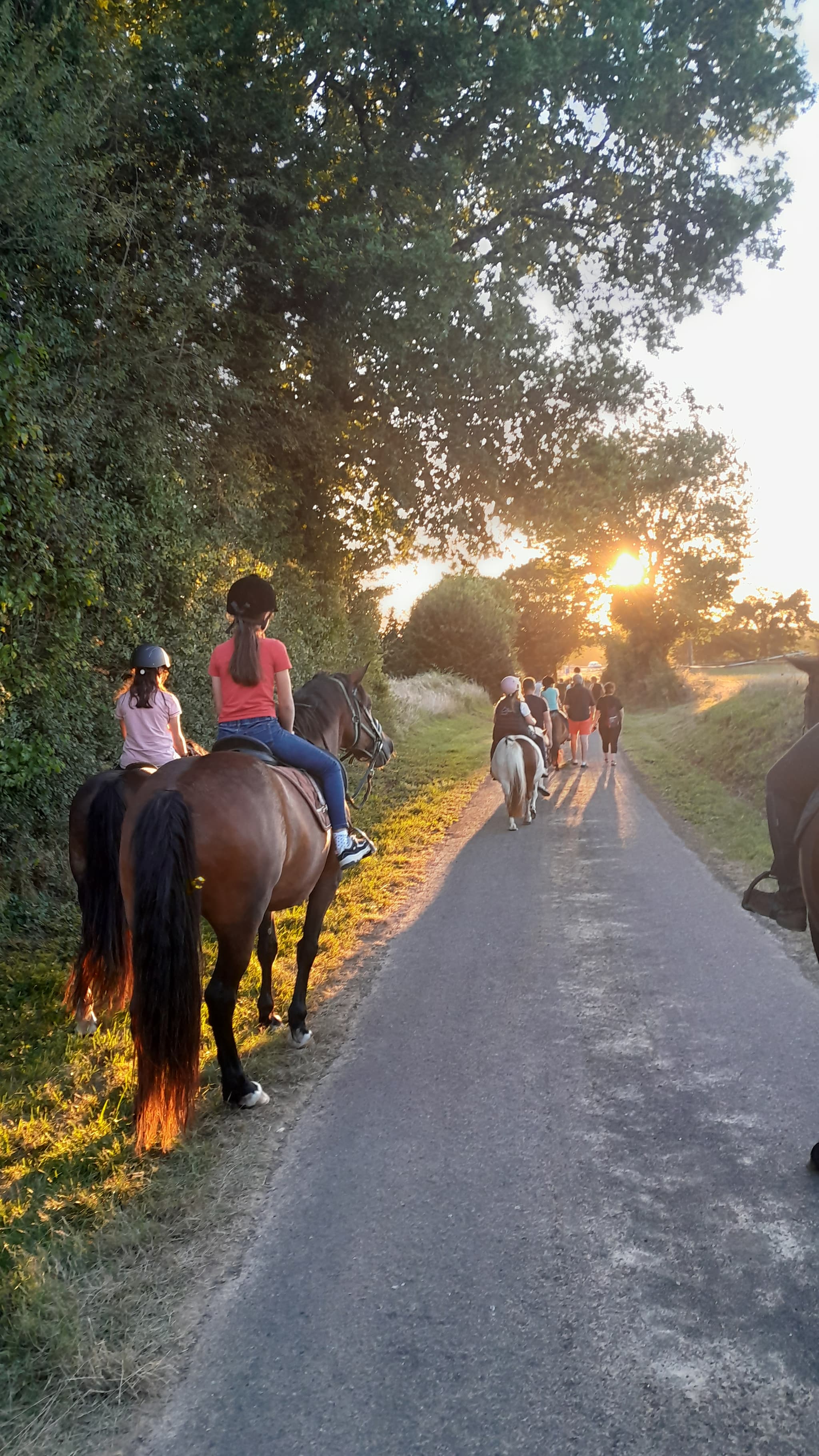 Poney club des retrouvailles - Voulême - 12