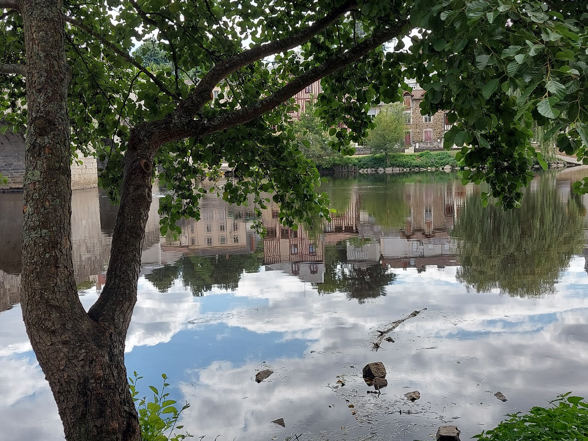 Bords de Vienne