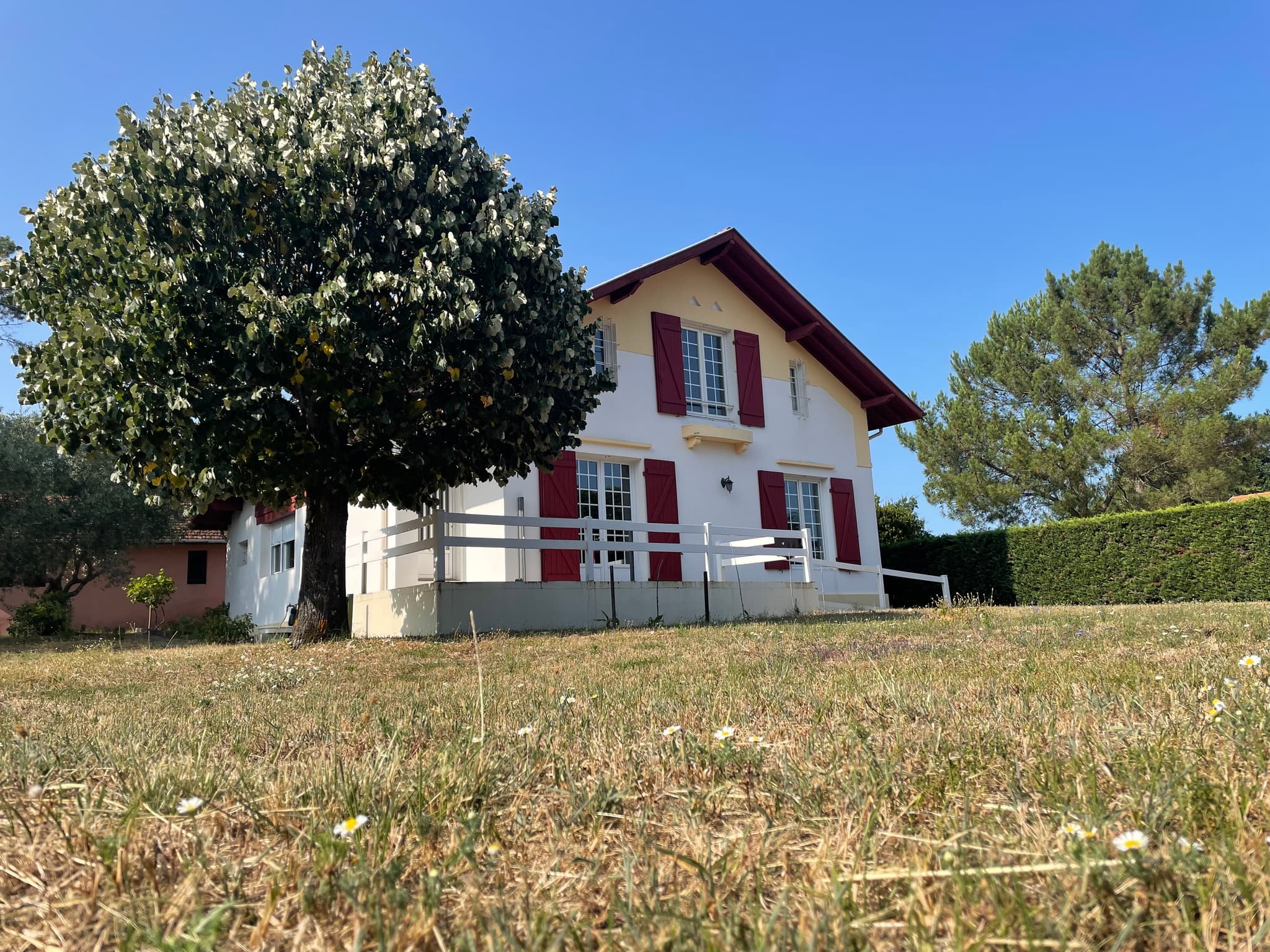 STJU_PITON Hervé_Facade