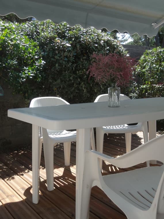 2023_belmont1