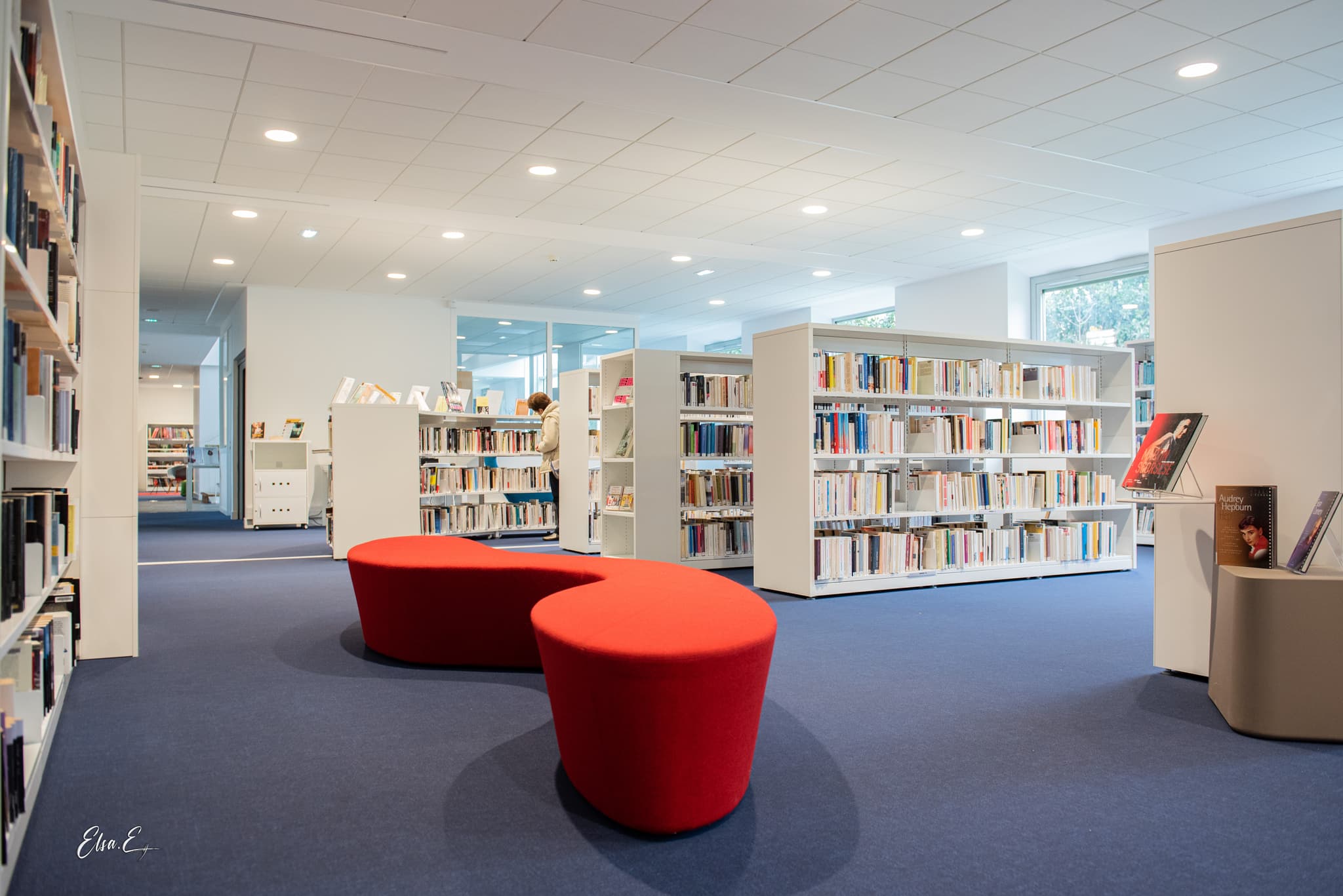 Espace adulte_1