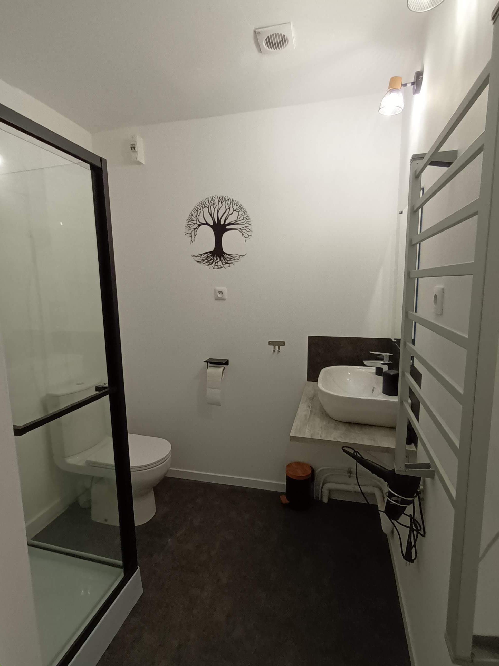 argentonnay-les-chambres-de-la-vallee-chambre-la-gagee-de-boheme-sdb