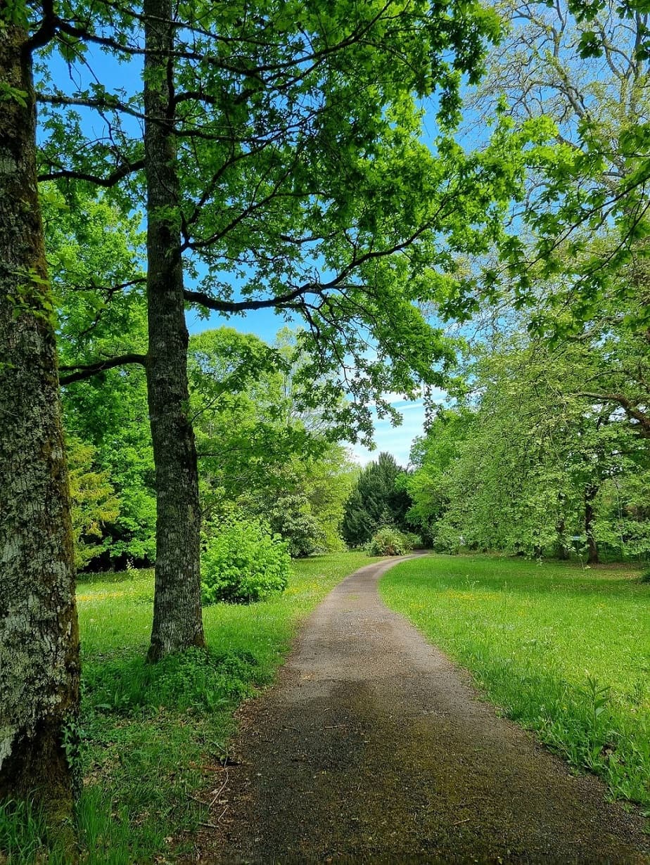 Parc du château du Verdier 2