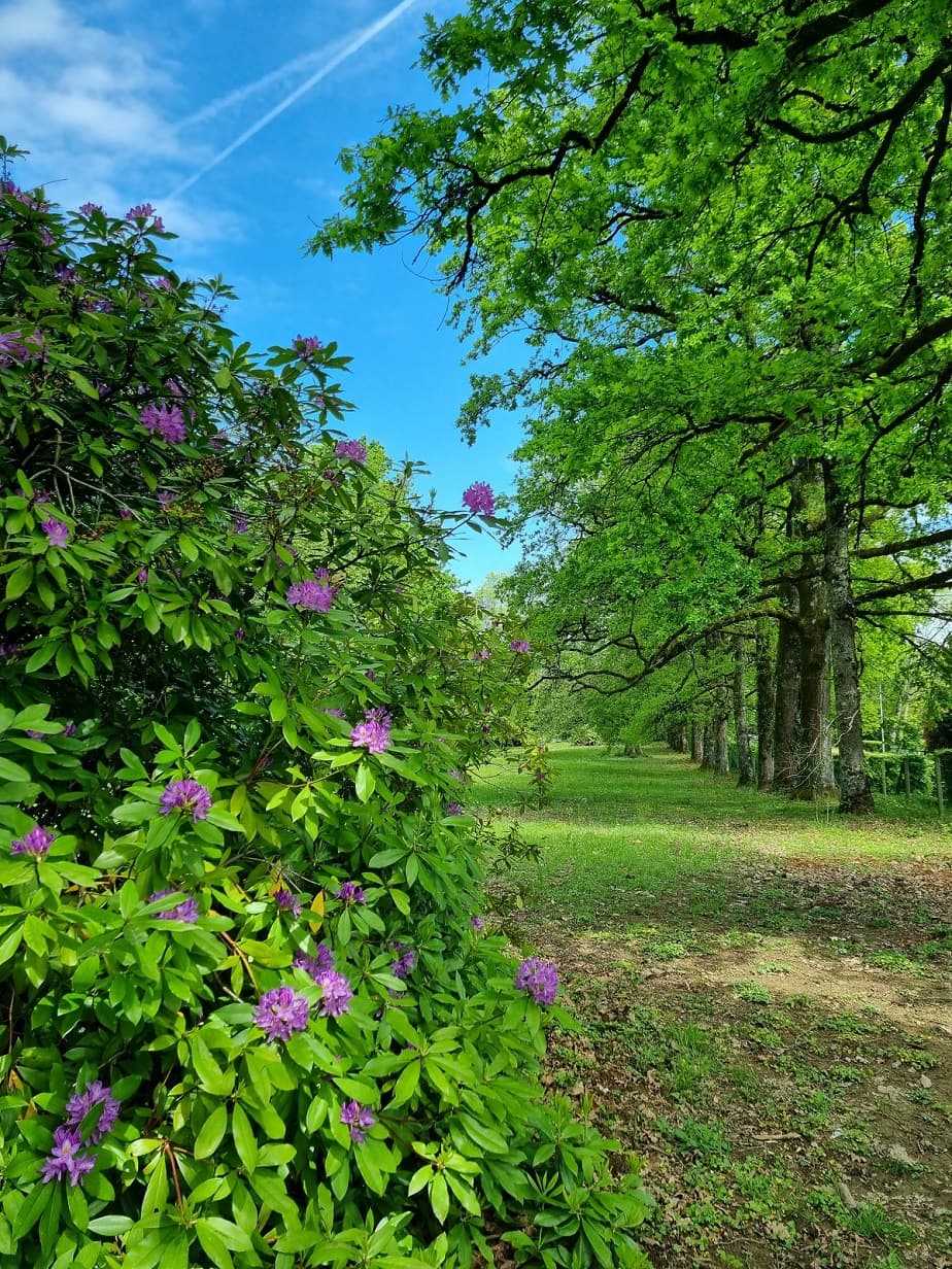 Parc du château du Verdier 3