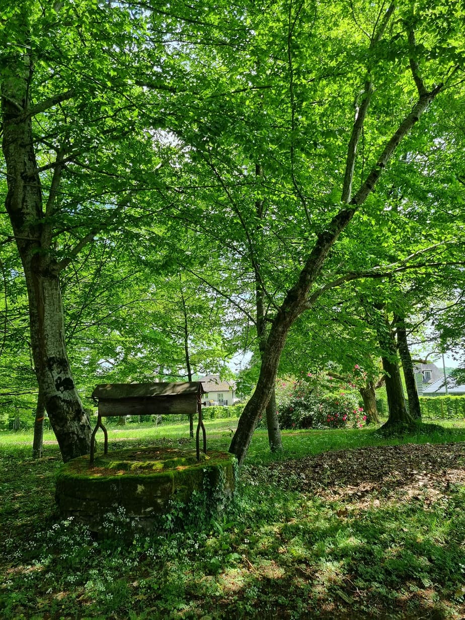 Parc du château du Verdier 4