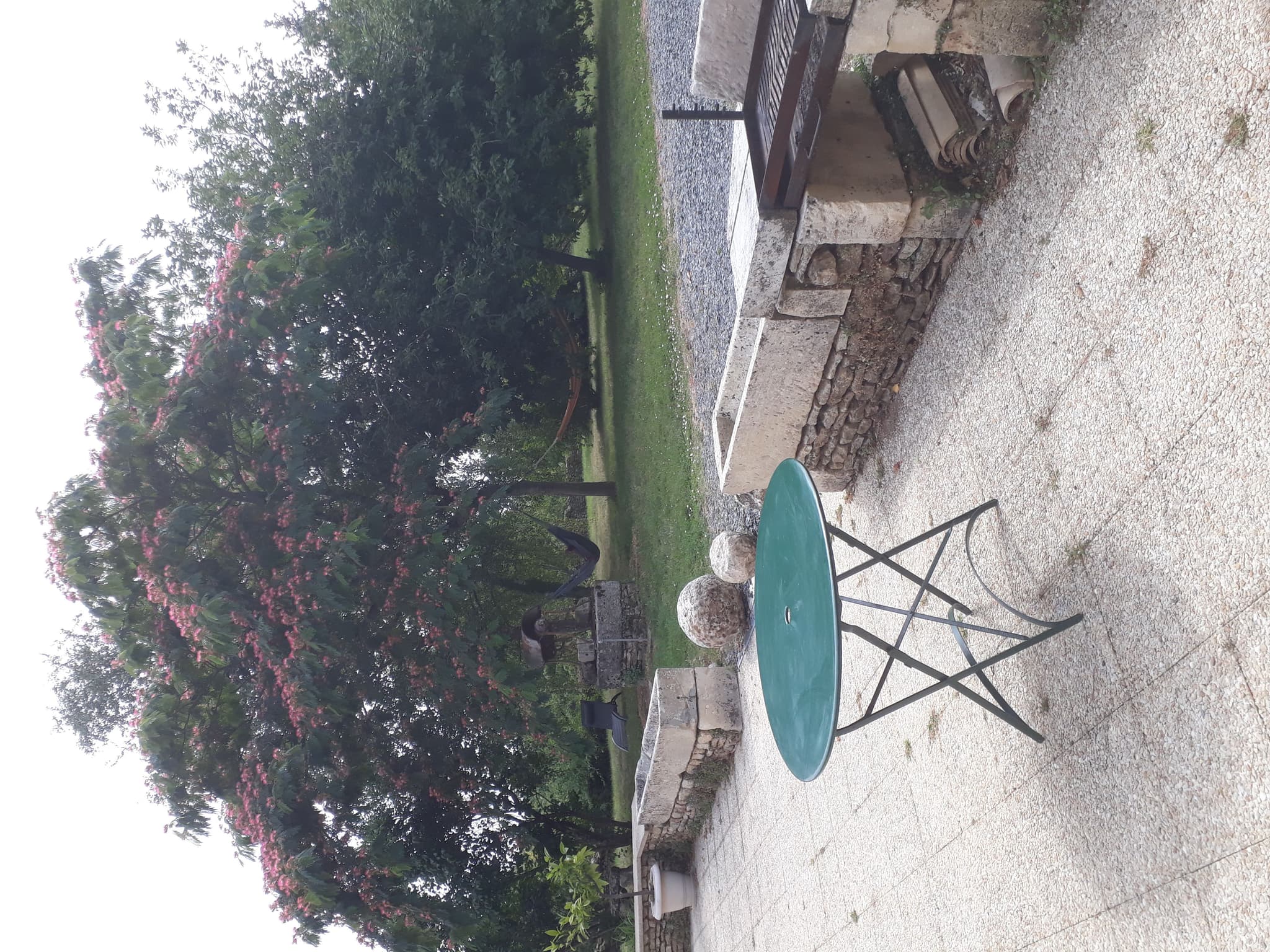 terrasse et hamacs