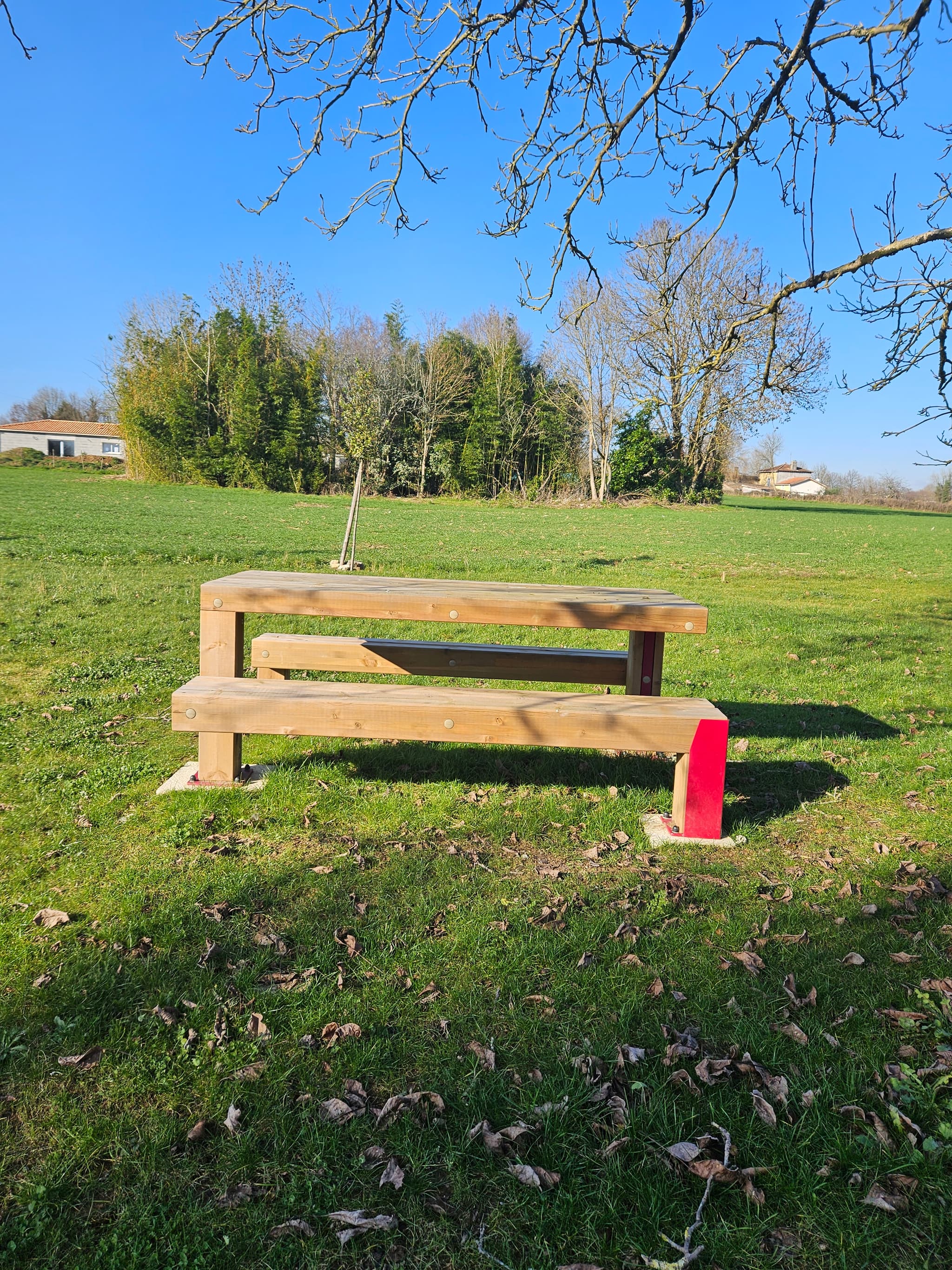 Table de pique-nique