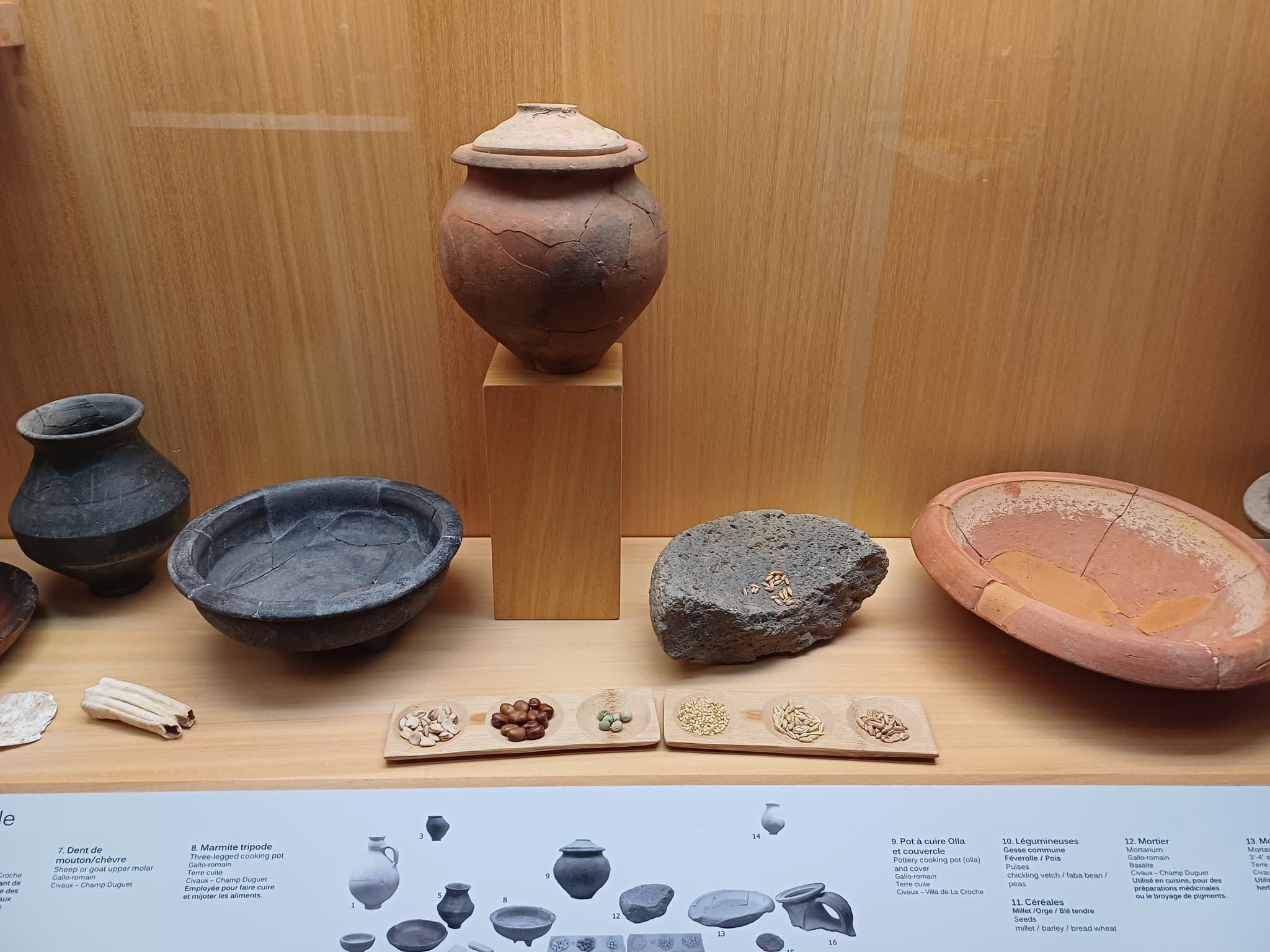 Vitrine alimentation à l'époque romaine
