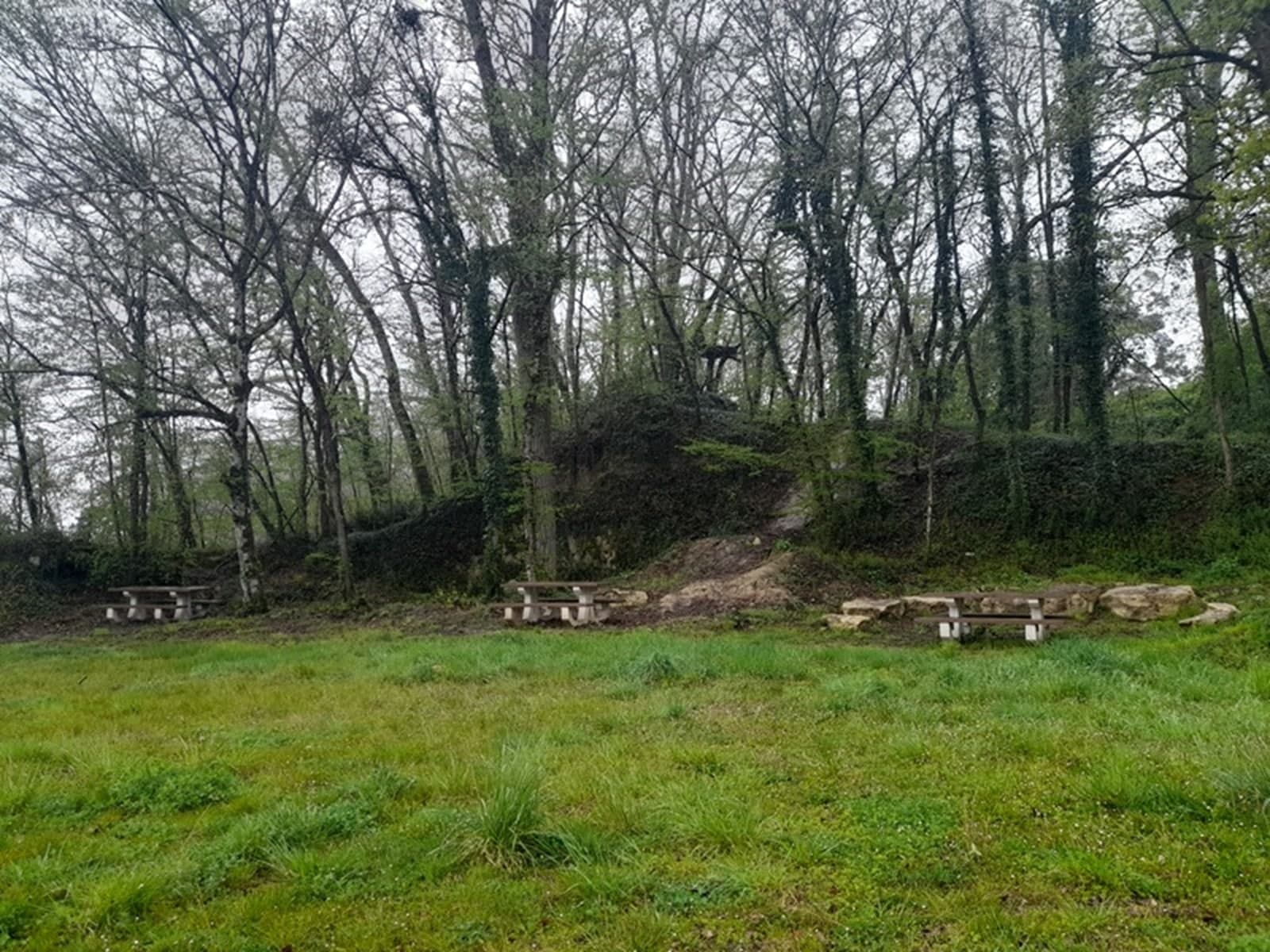 Falaise de Rimons