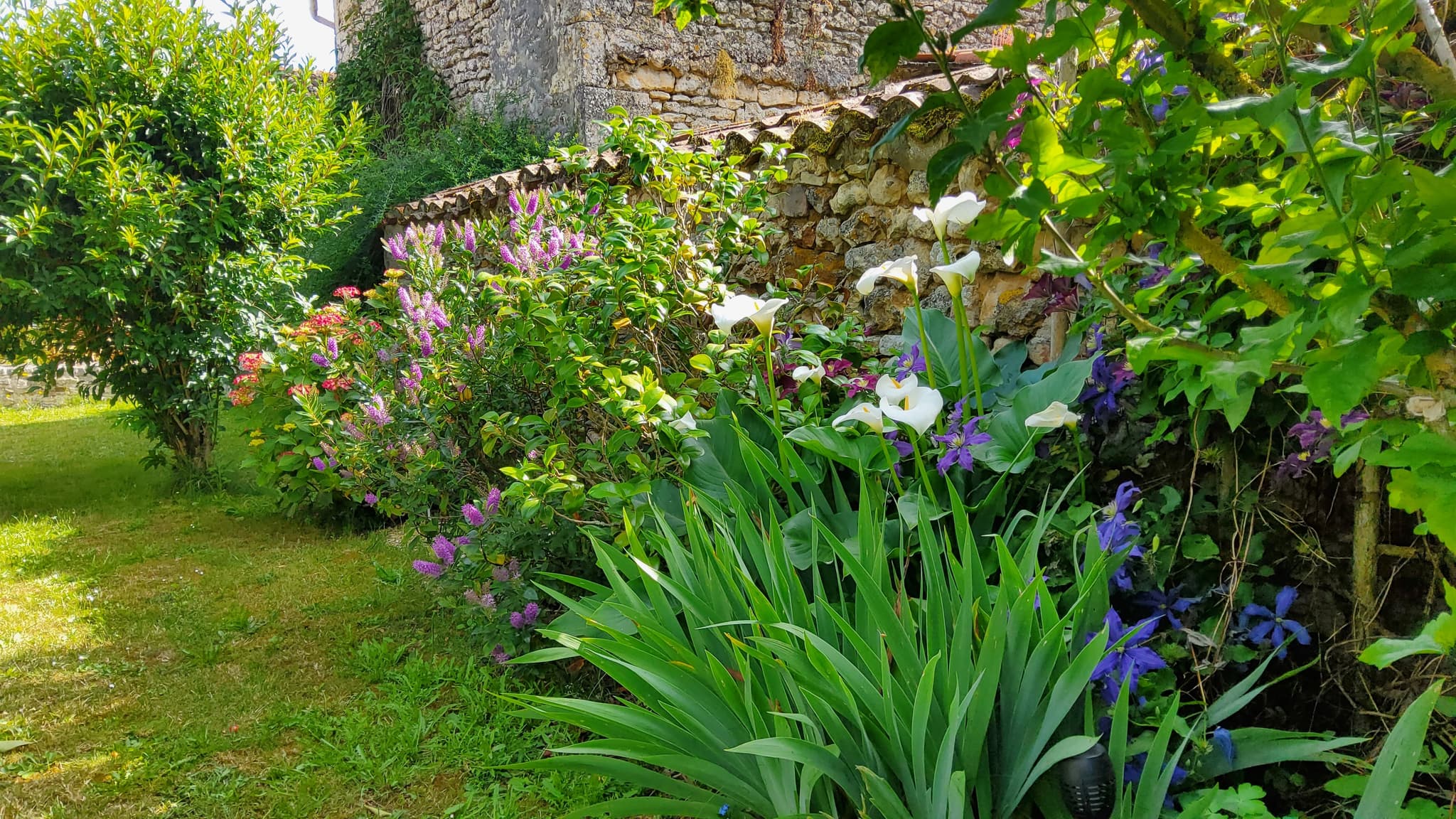 jardin
