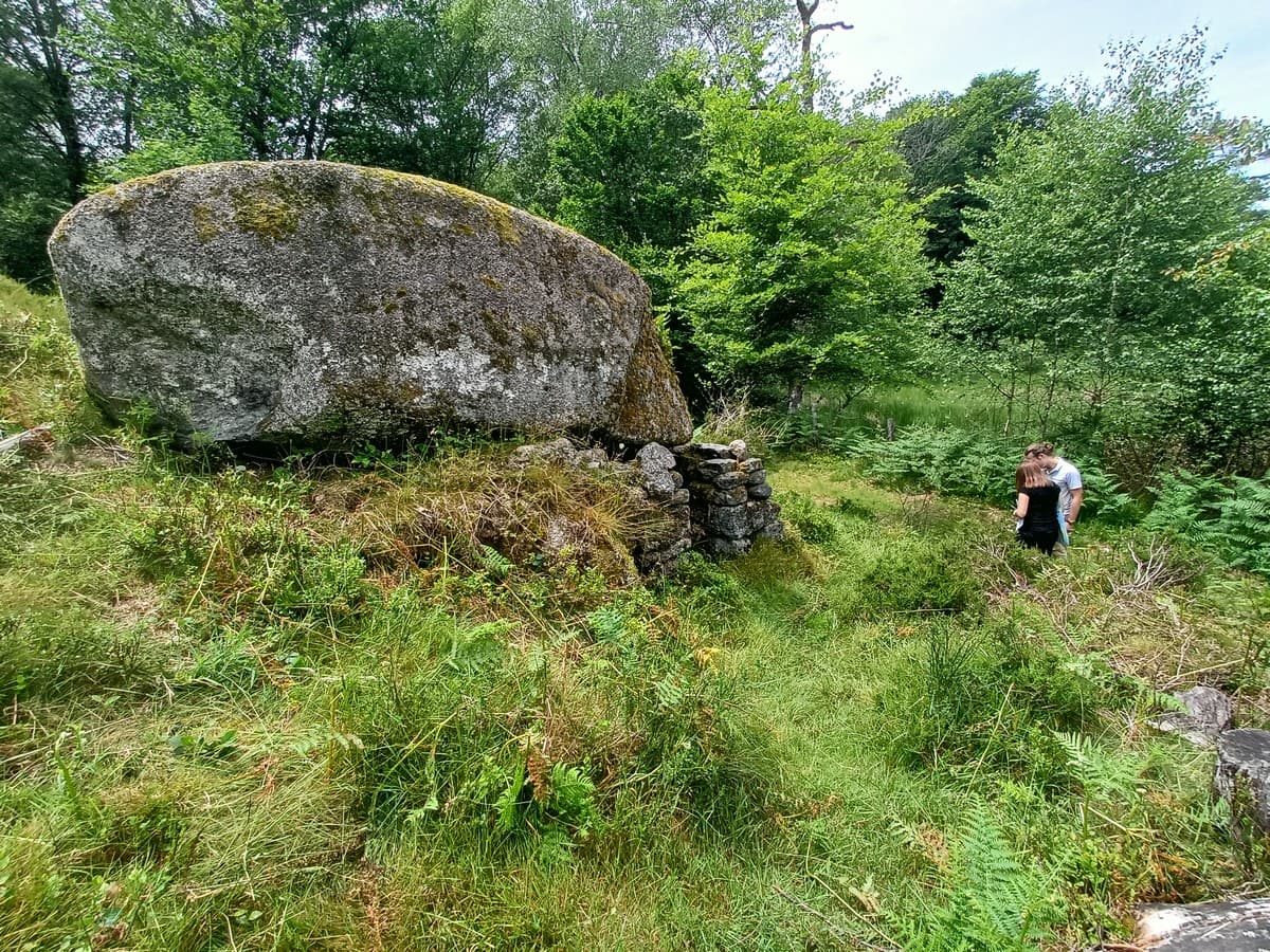Tourbière Loge