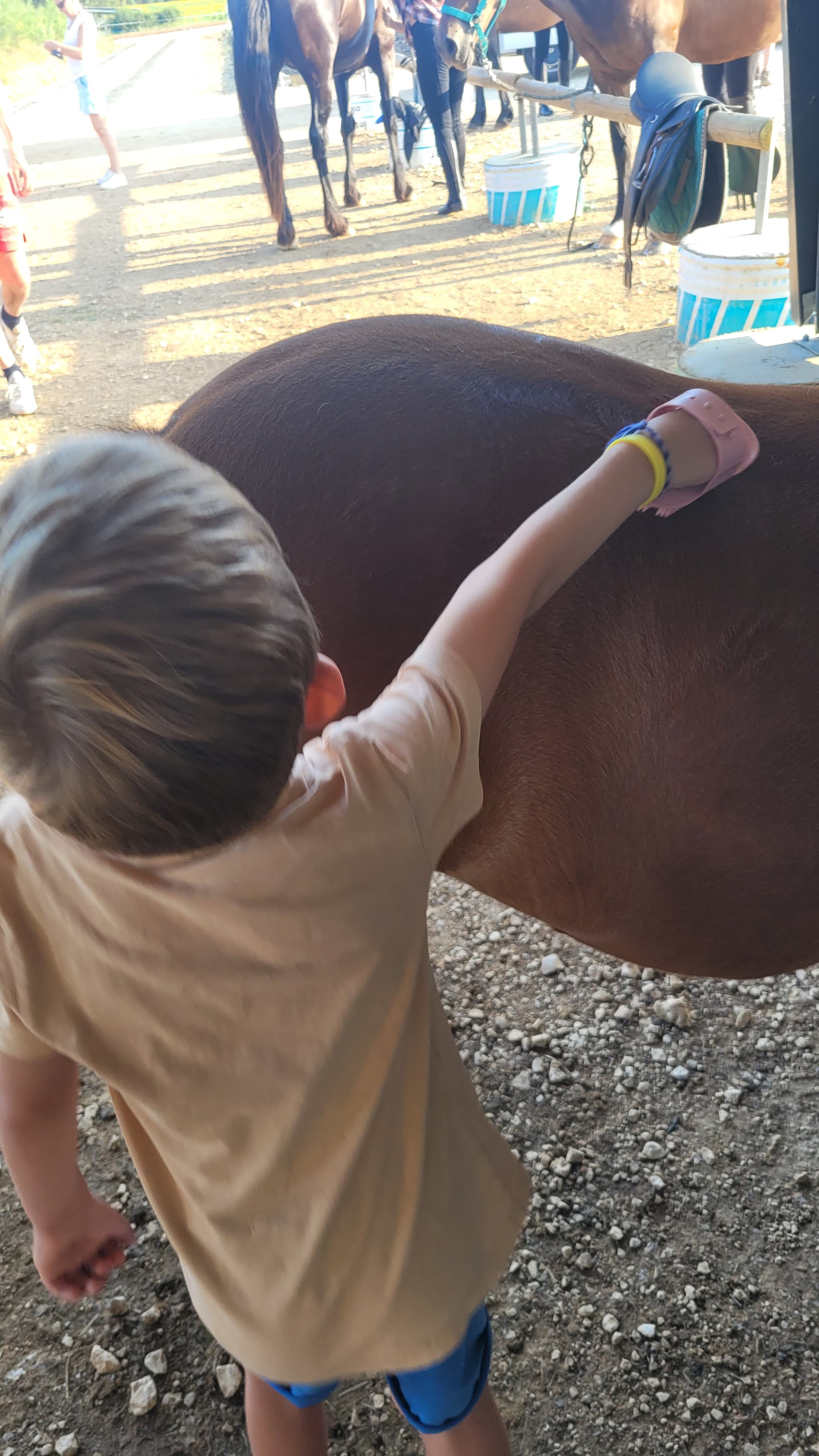 poney club des retrouvailles