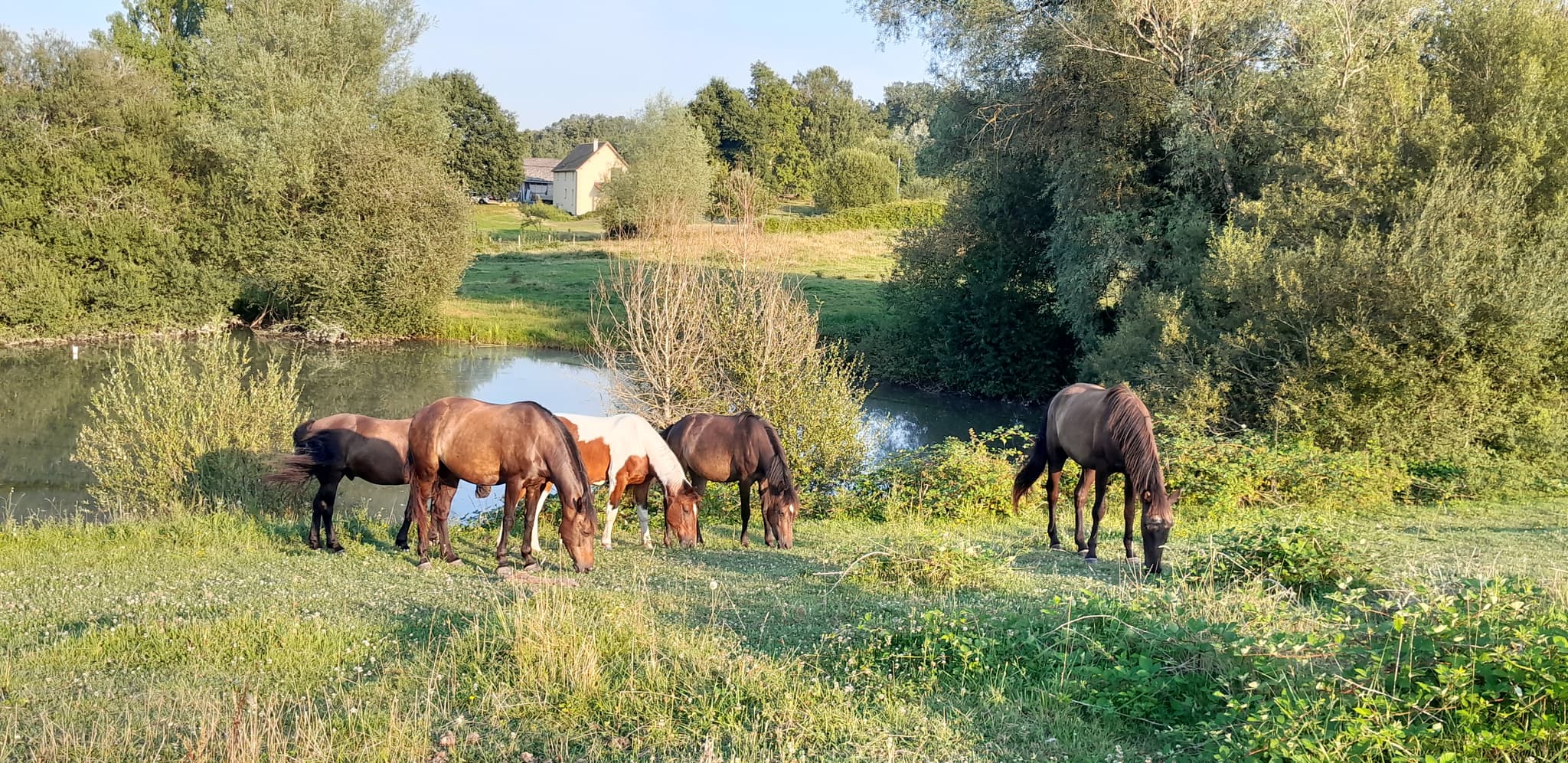 L'Echappée Pastorale