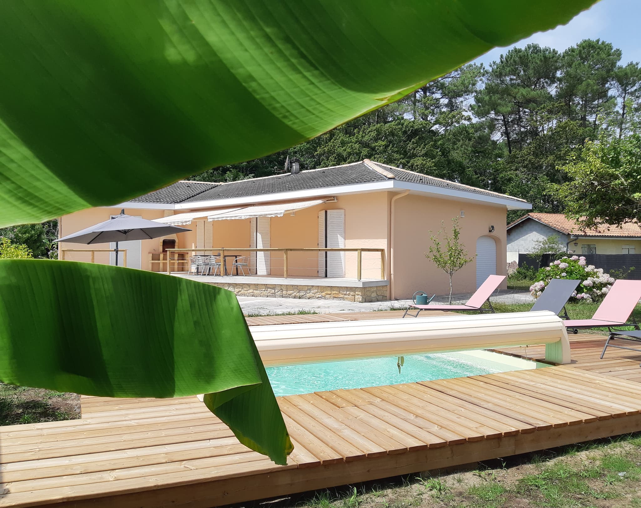 Piscine et Terrasse
