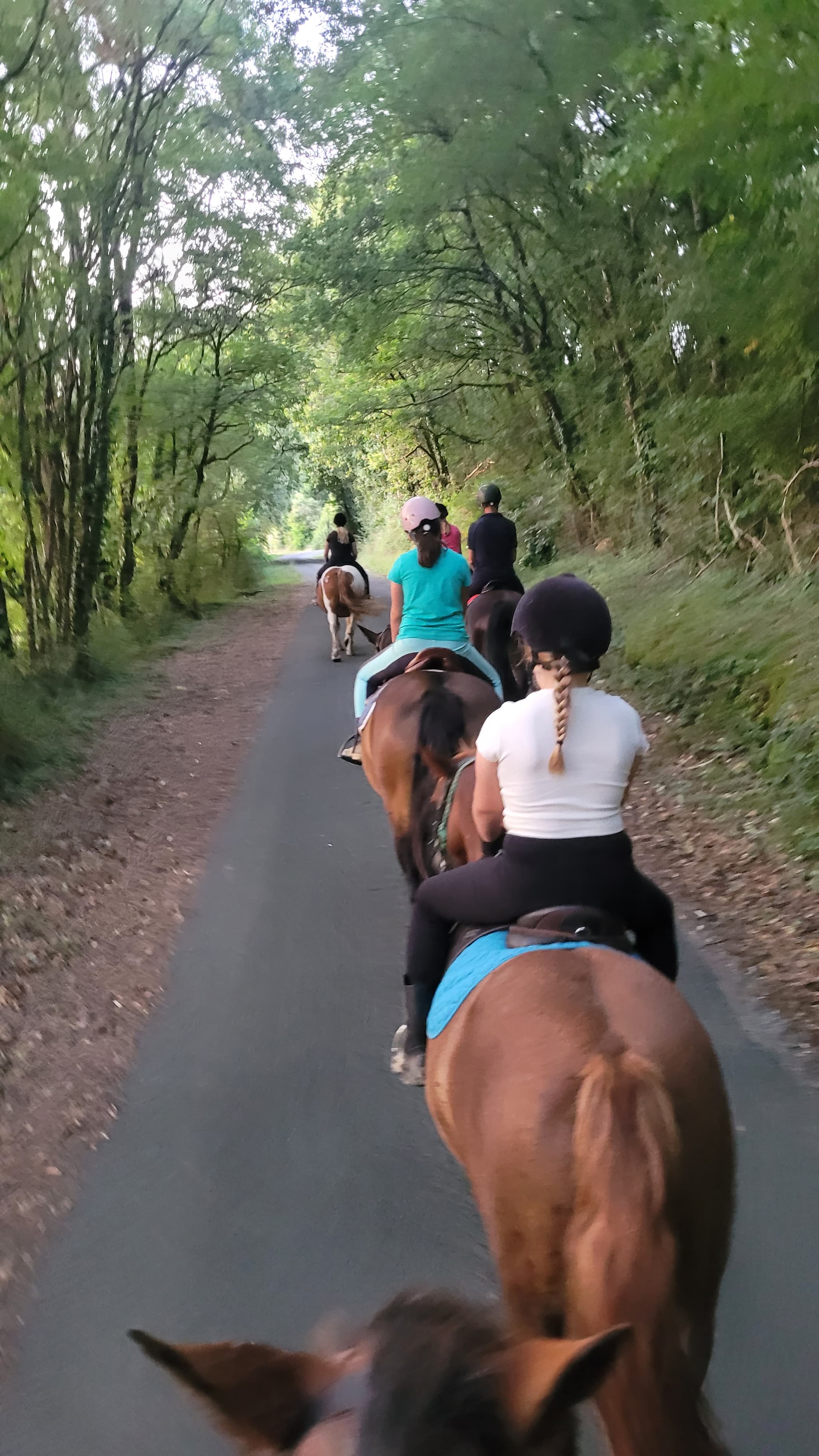 poney club des retrouvailles
